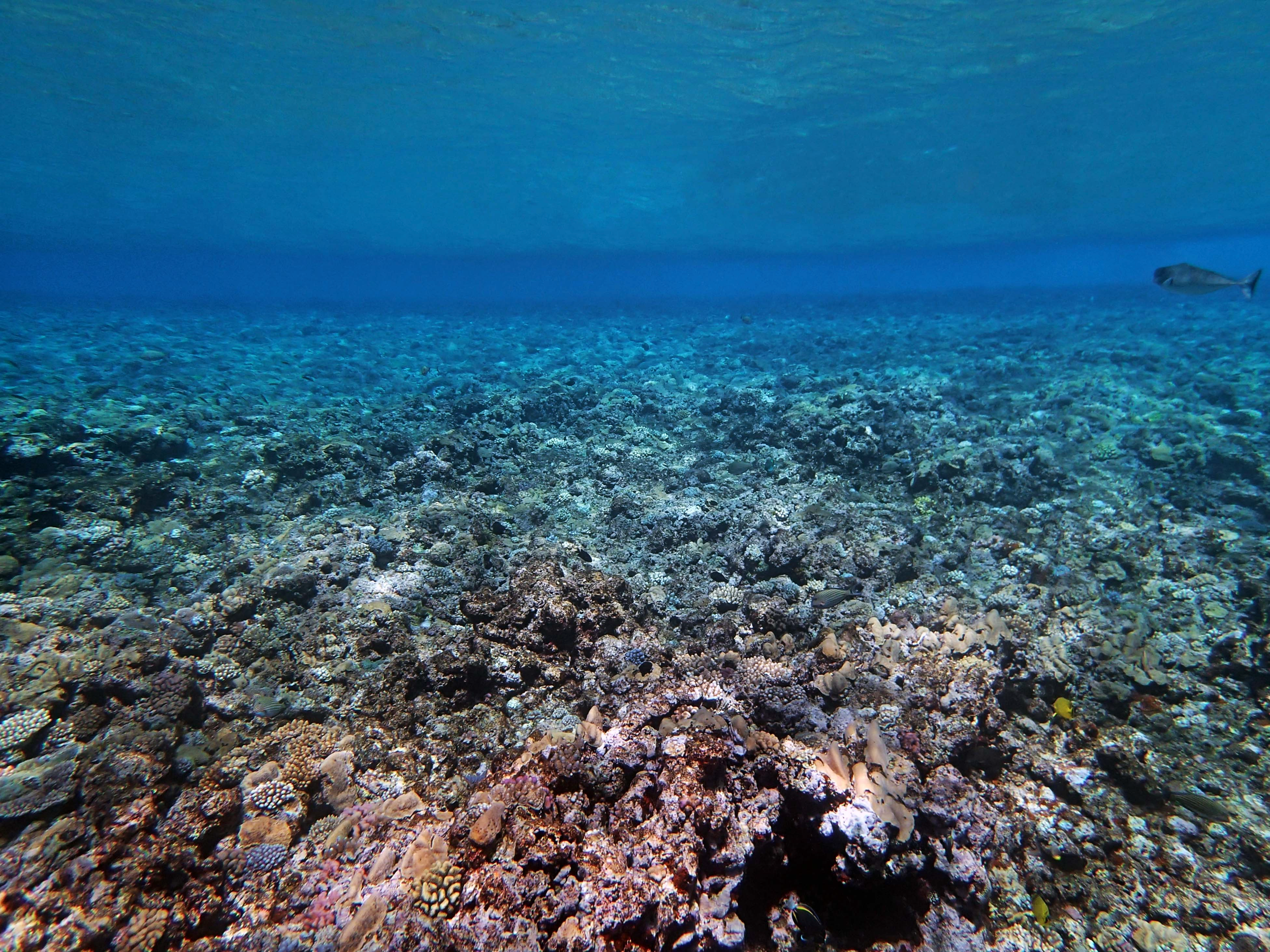 P9031141.png