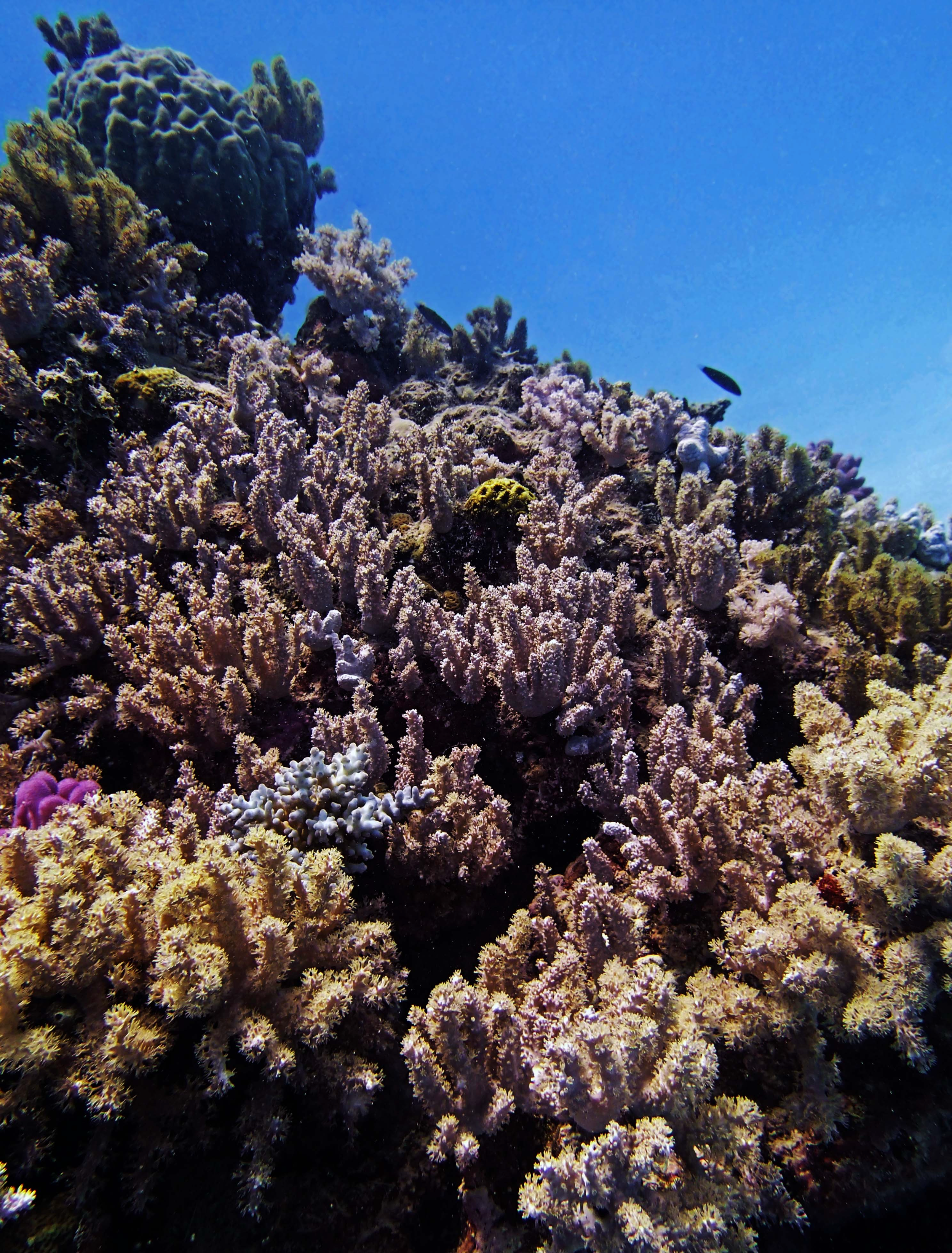 P9021170.png