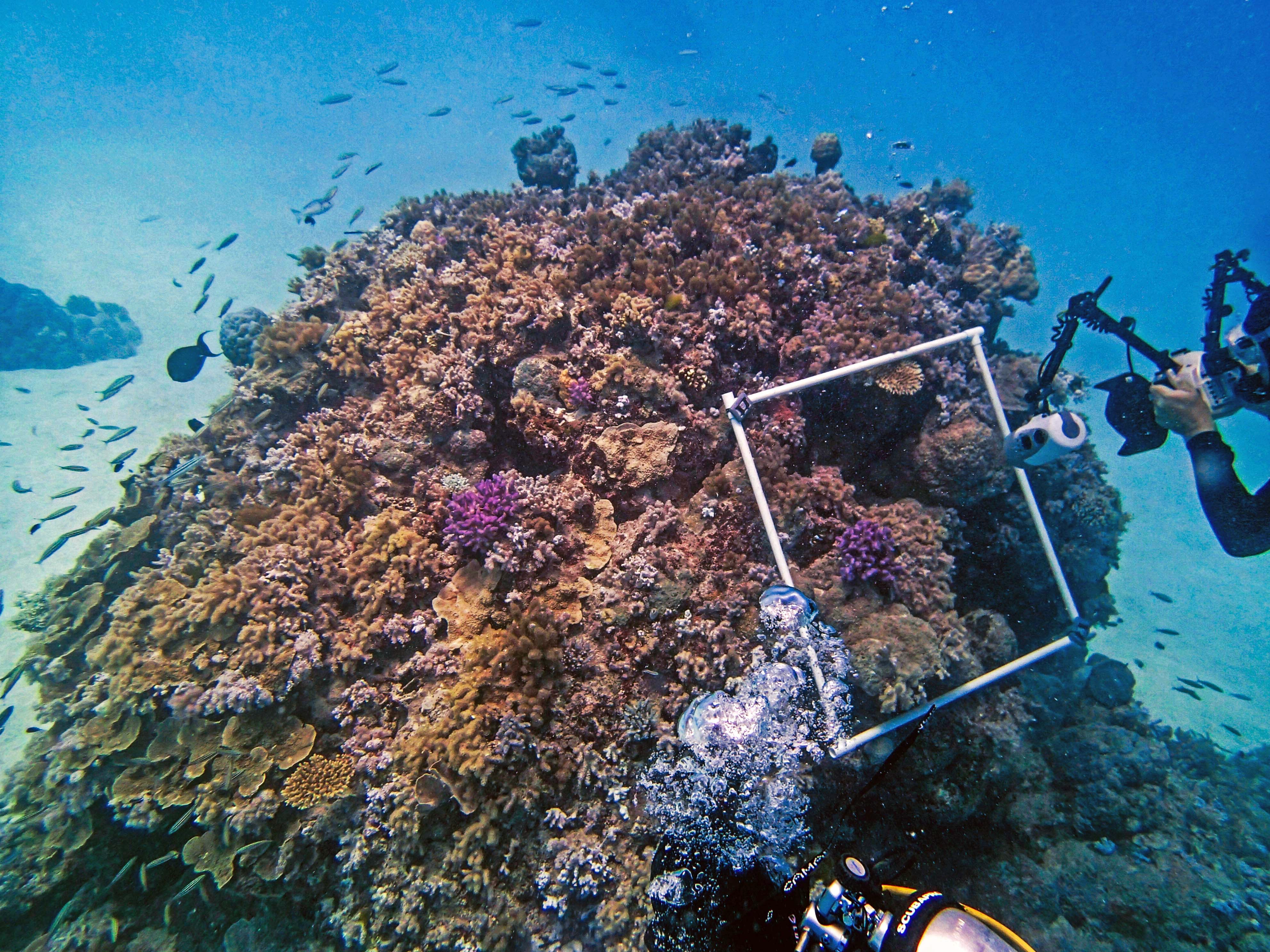 P9021168.png