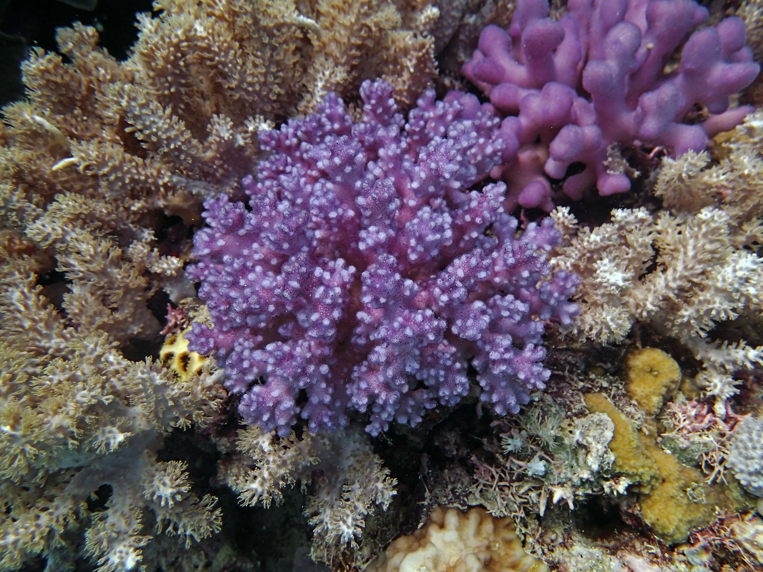 P9021171.png