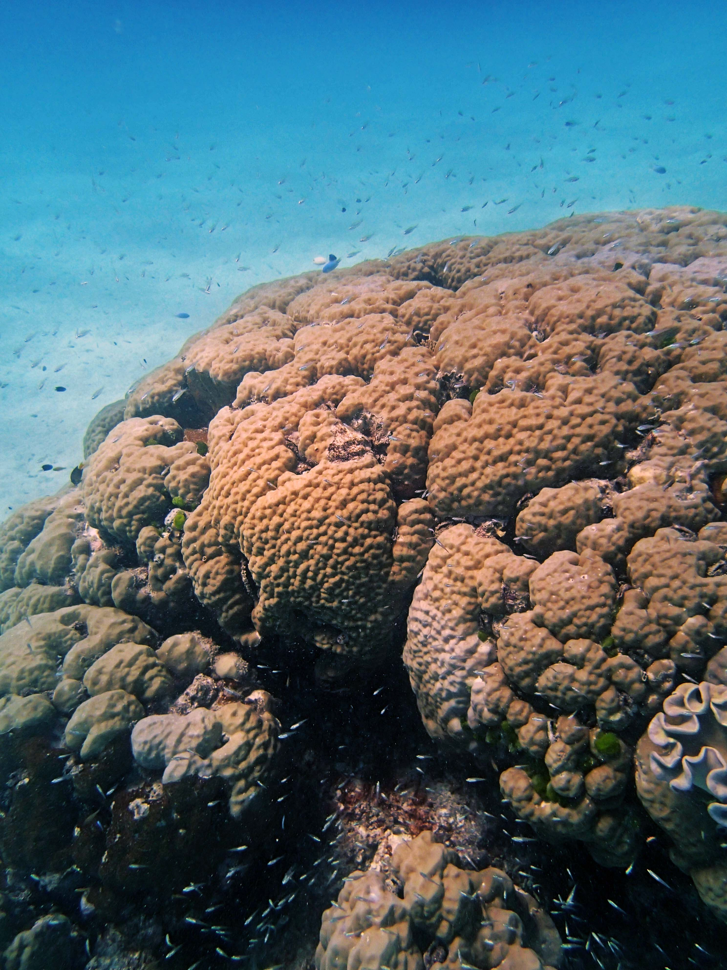 P9021174.png
