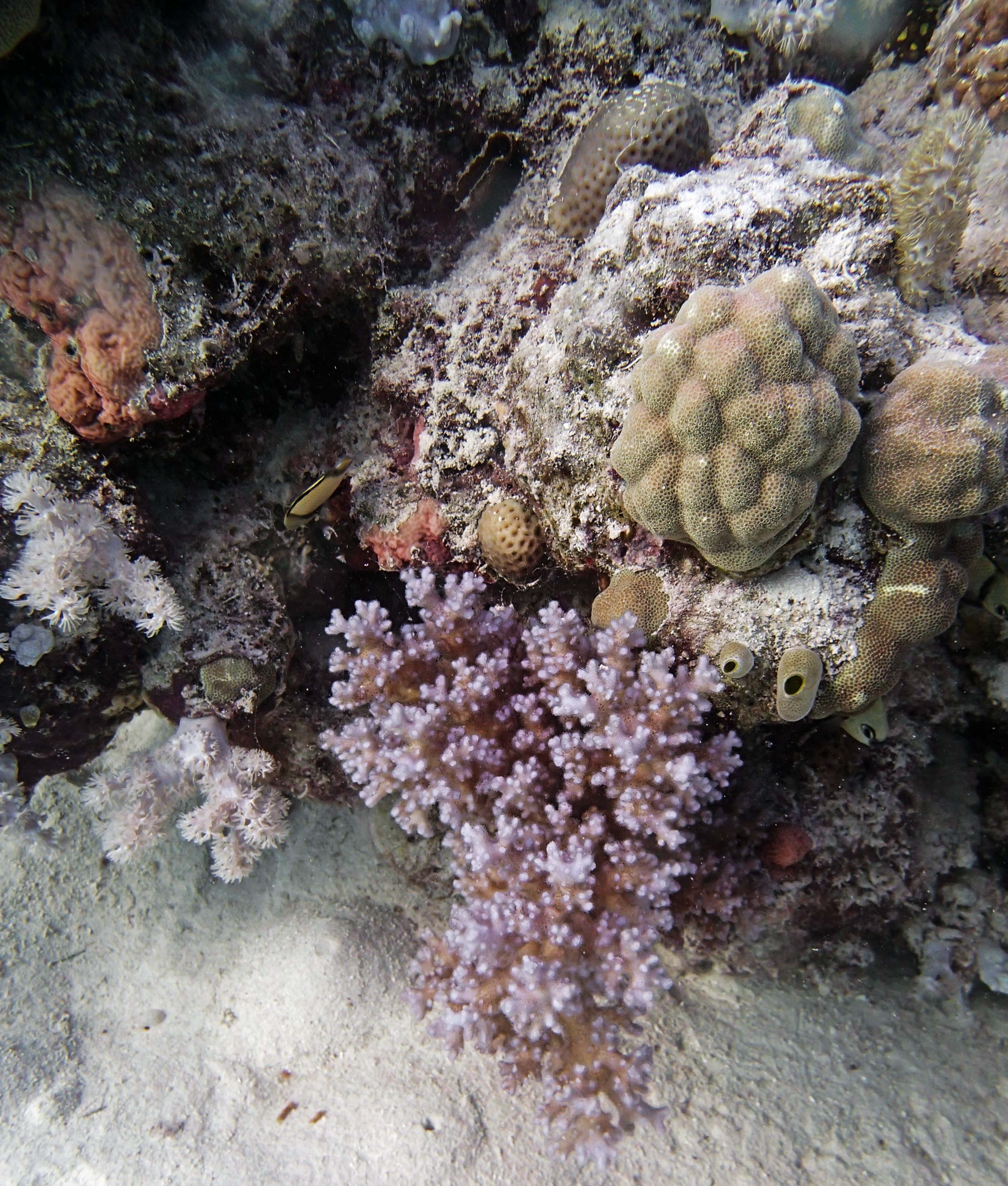 P9031176.png