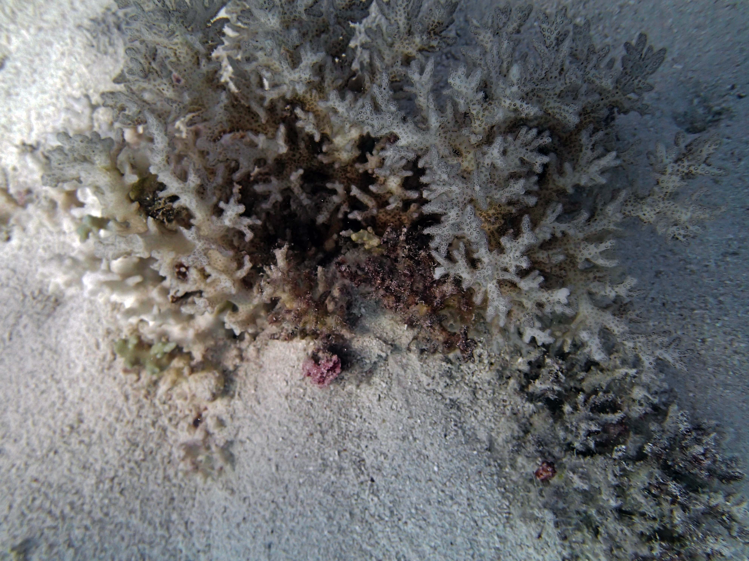 P9031177.png