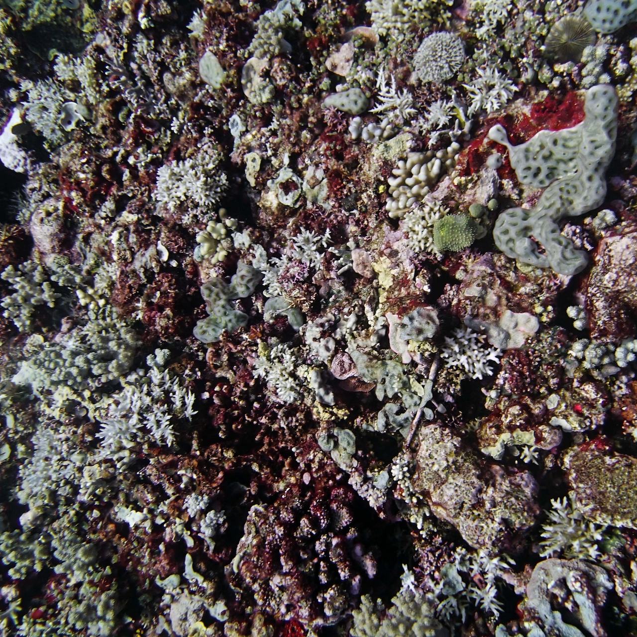 P9031116.png