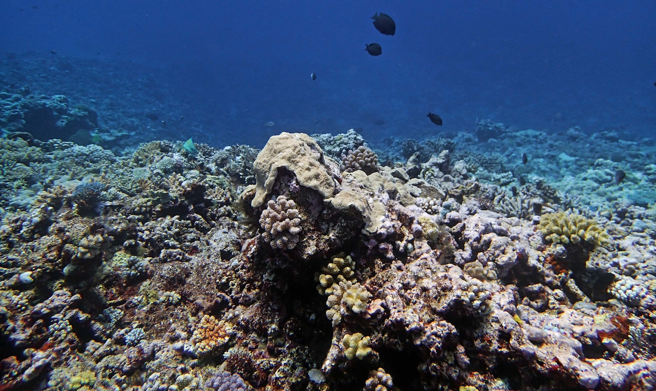 P9041136.png