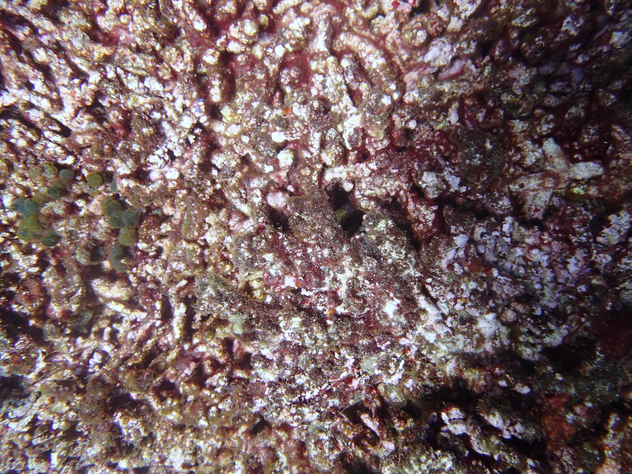 P9041149.png