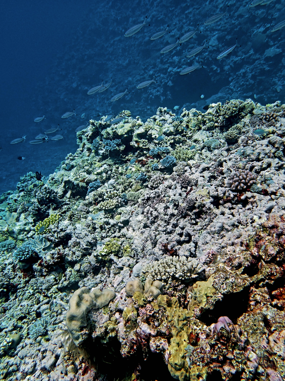 P9041150.png