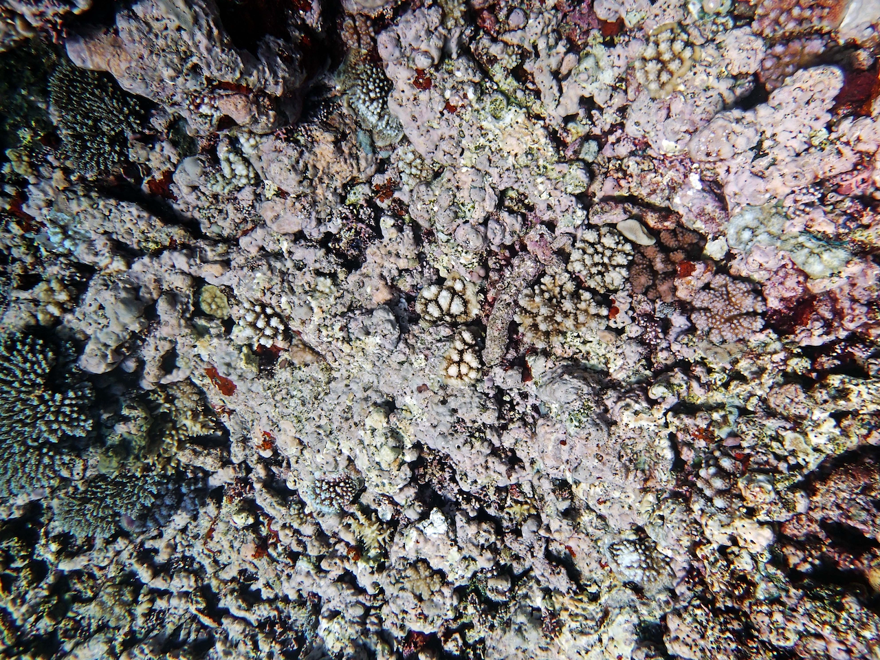 P9041152.png