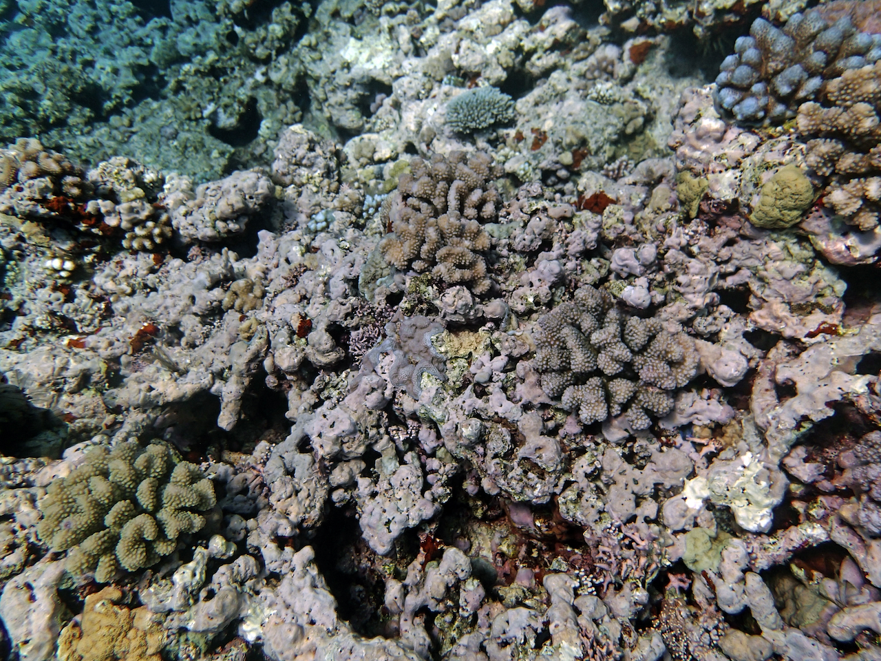 P9041153.png