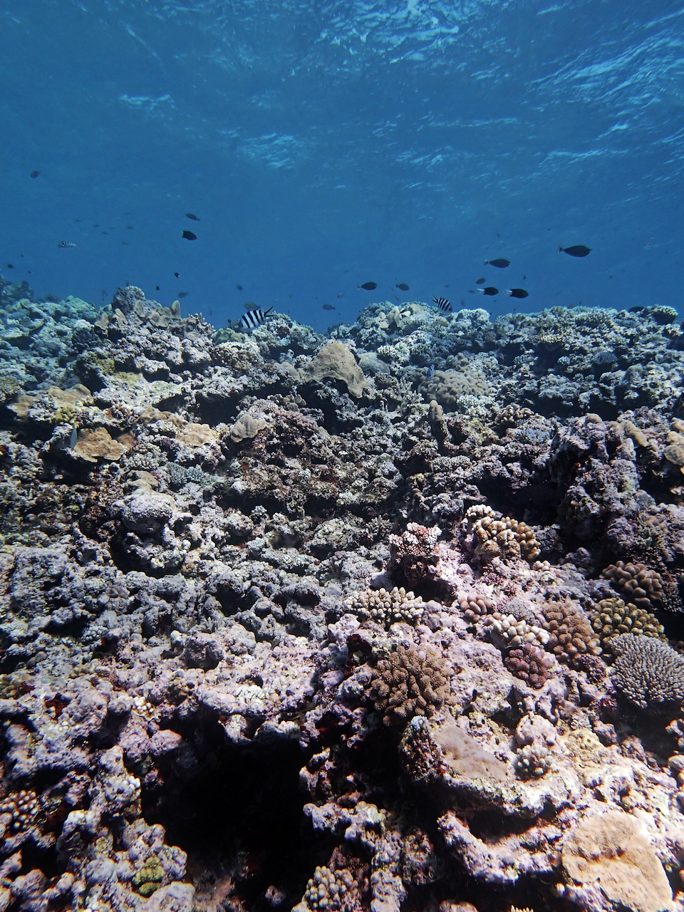P9041154.png
