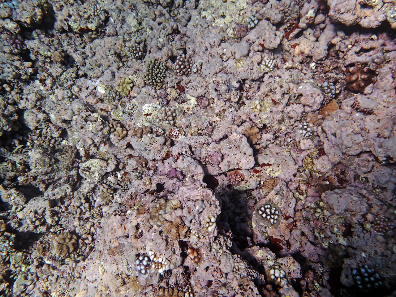 P9041155.png