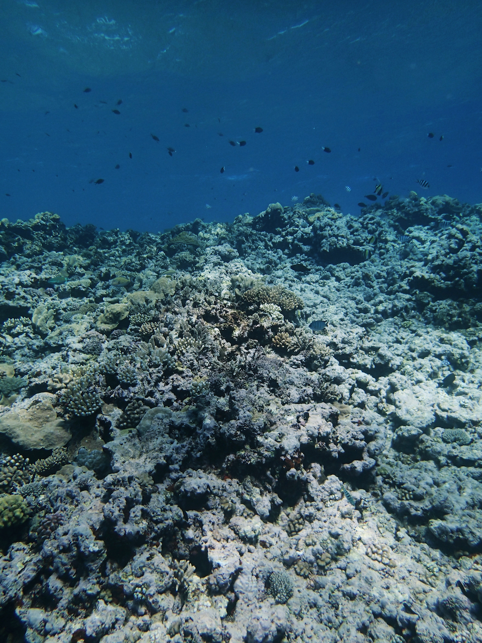 P9041156.png