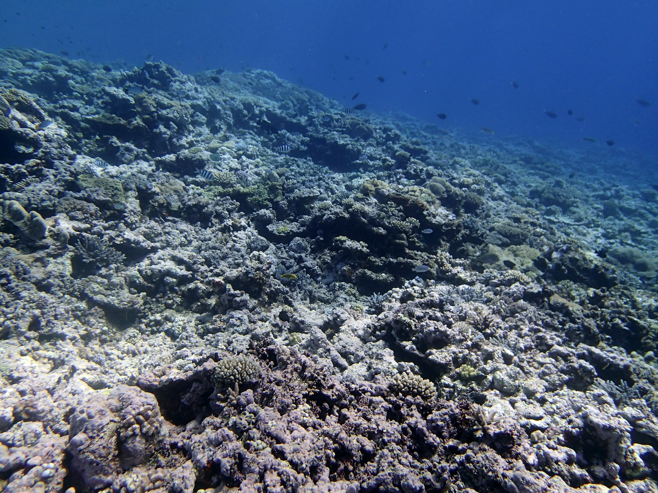 P9041157.png