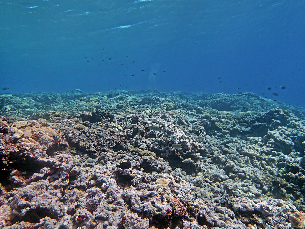 P9041159.png