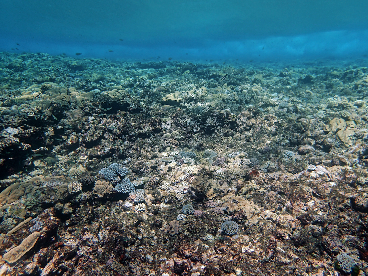 P9041160.png