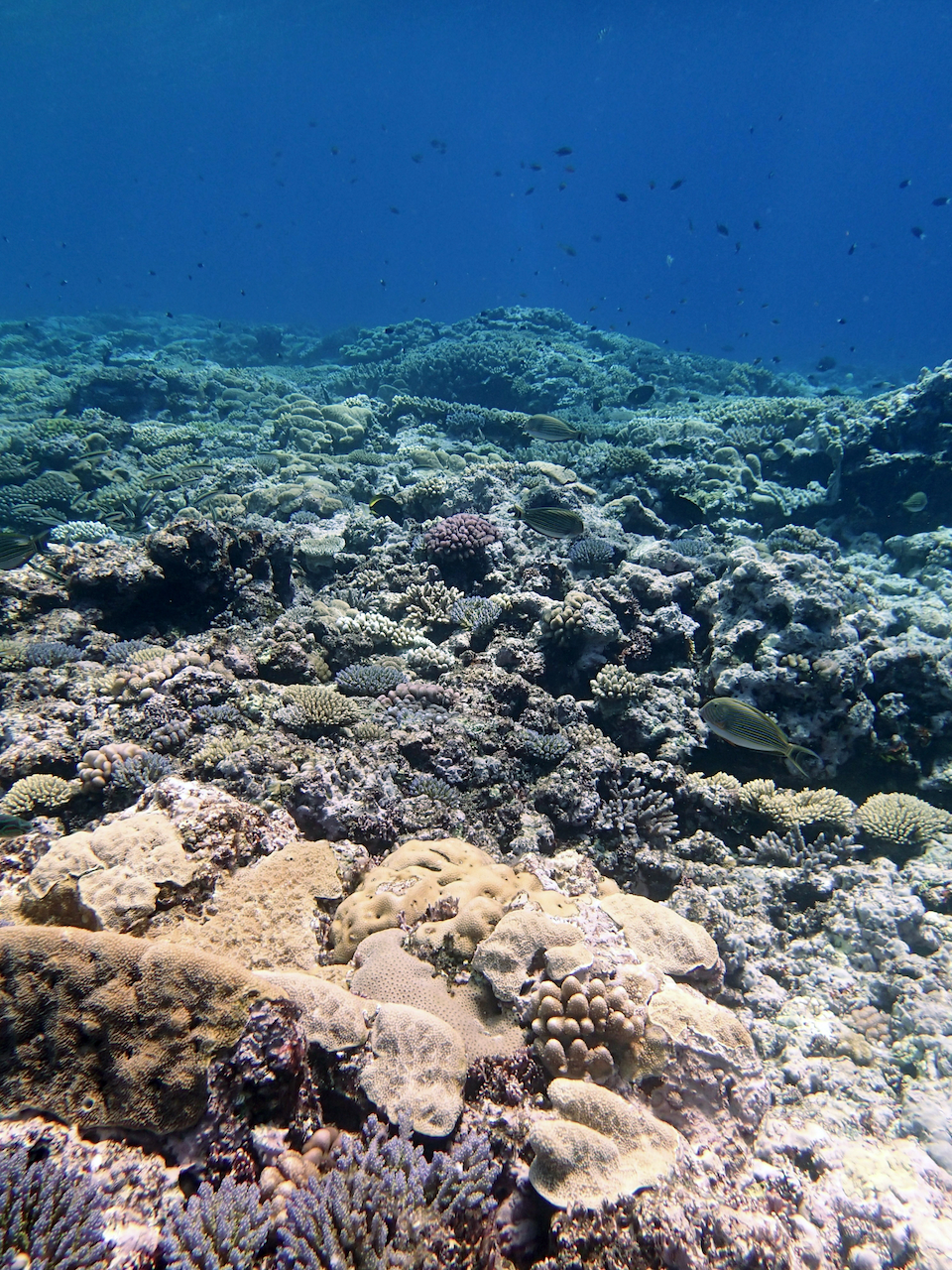 P9041161.png