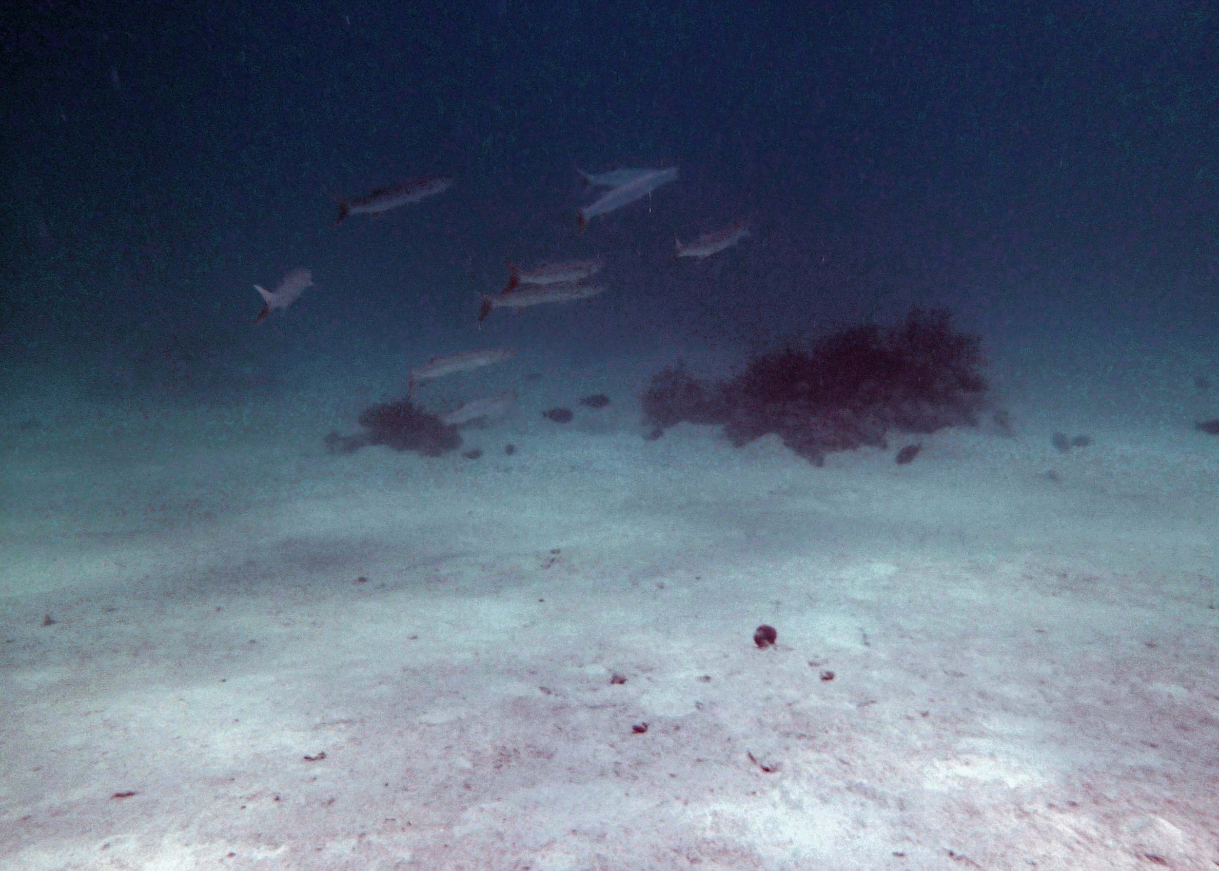 P9041163.png