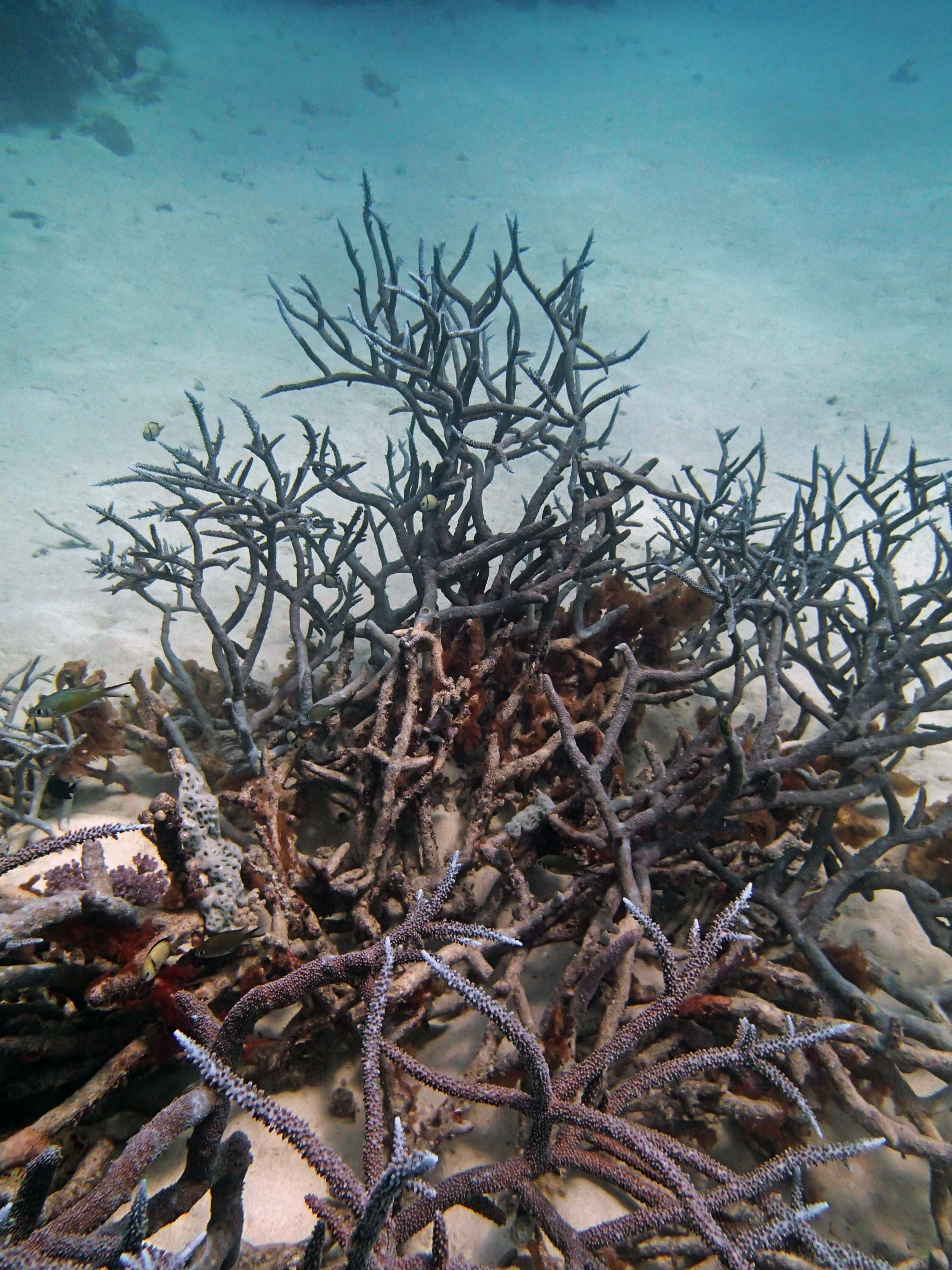 P9041167.png