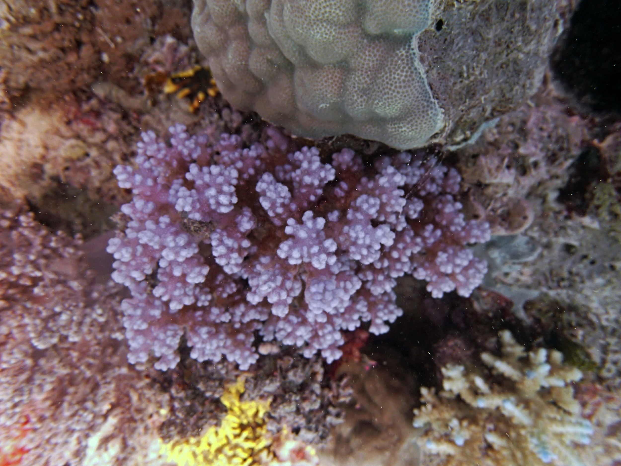 P9041168.png