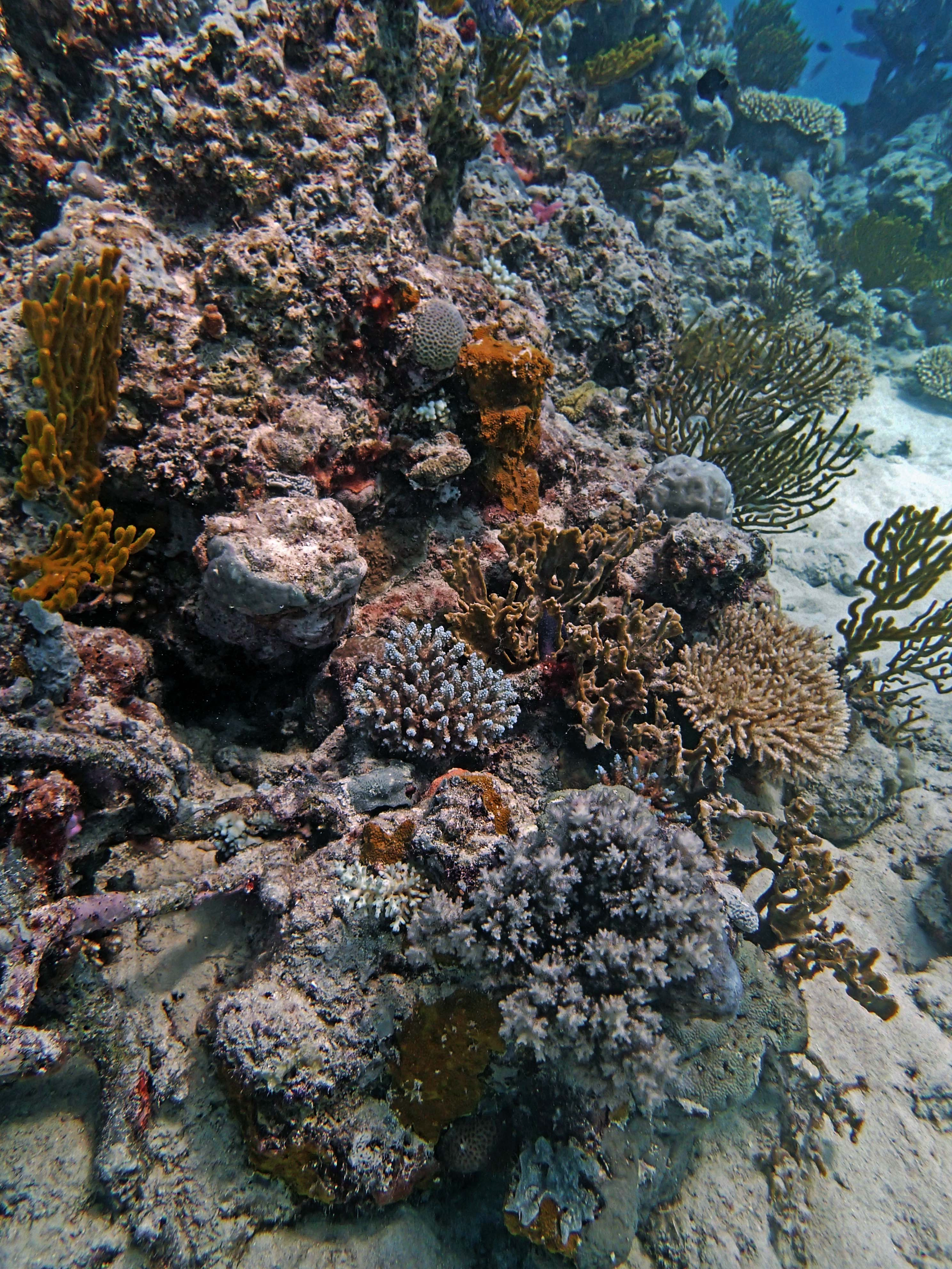 P9041169.png