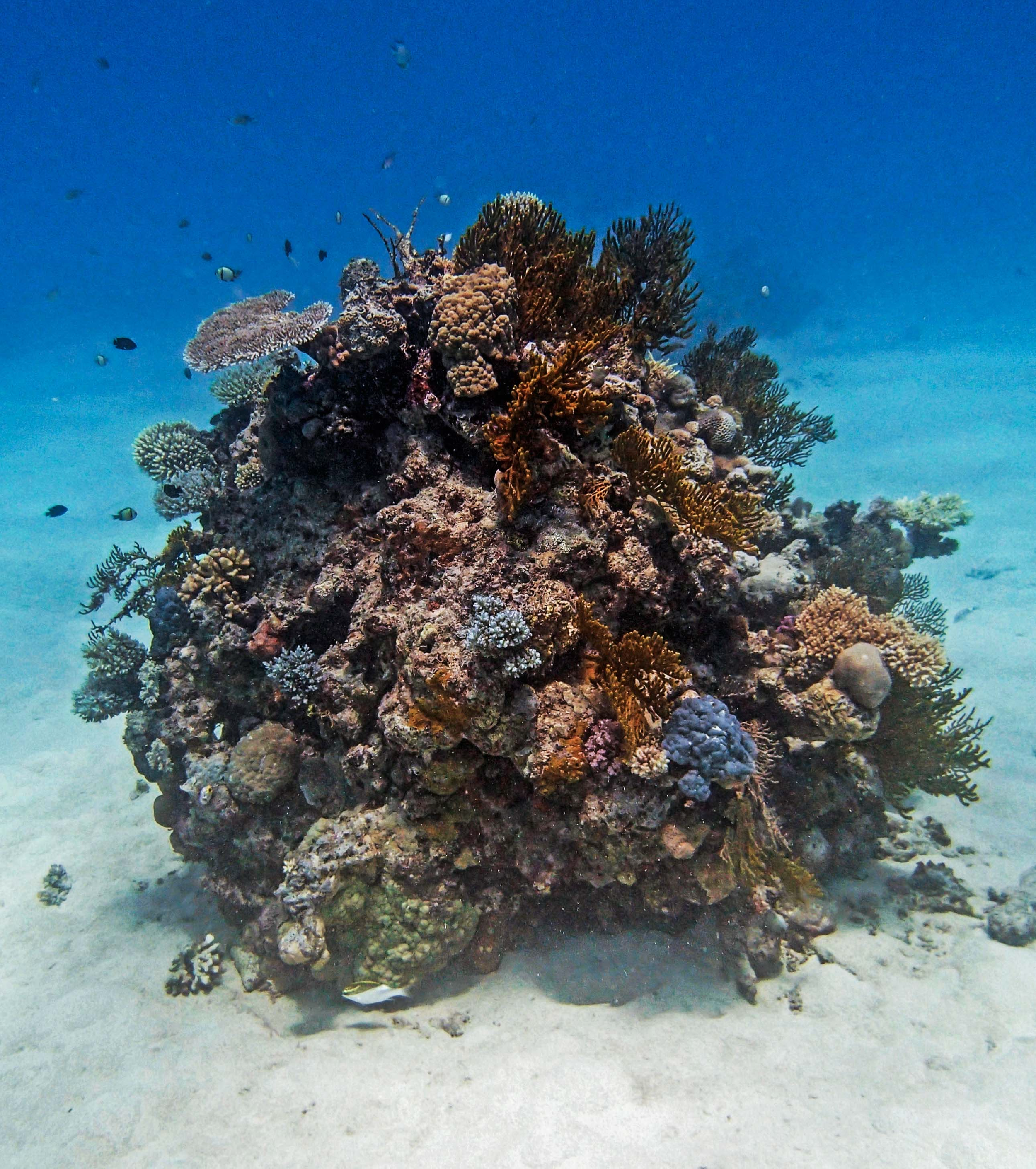 P9041173.png