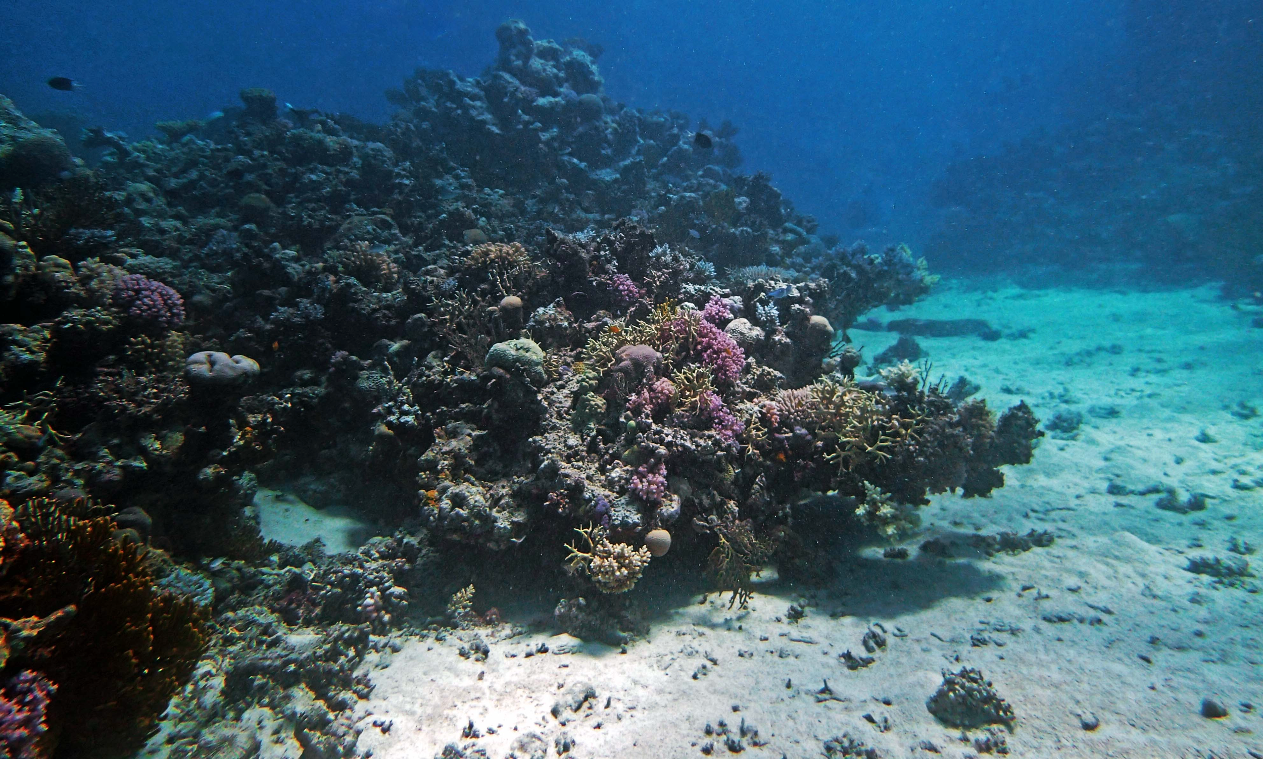 P9041203.png