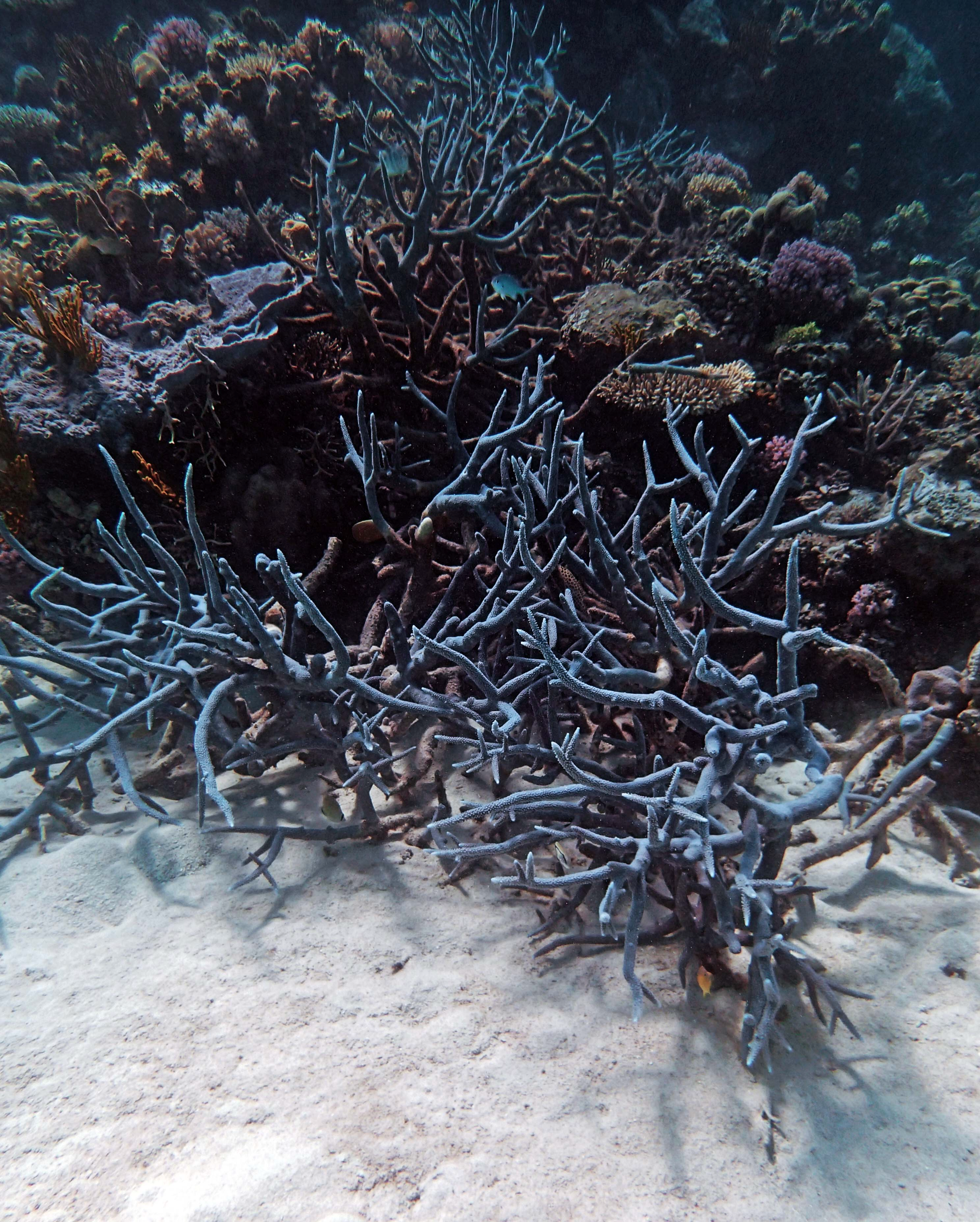 P9041204.png