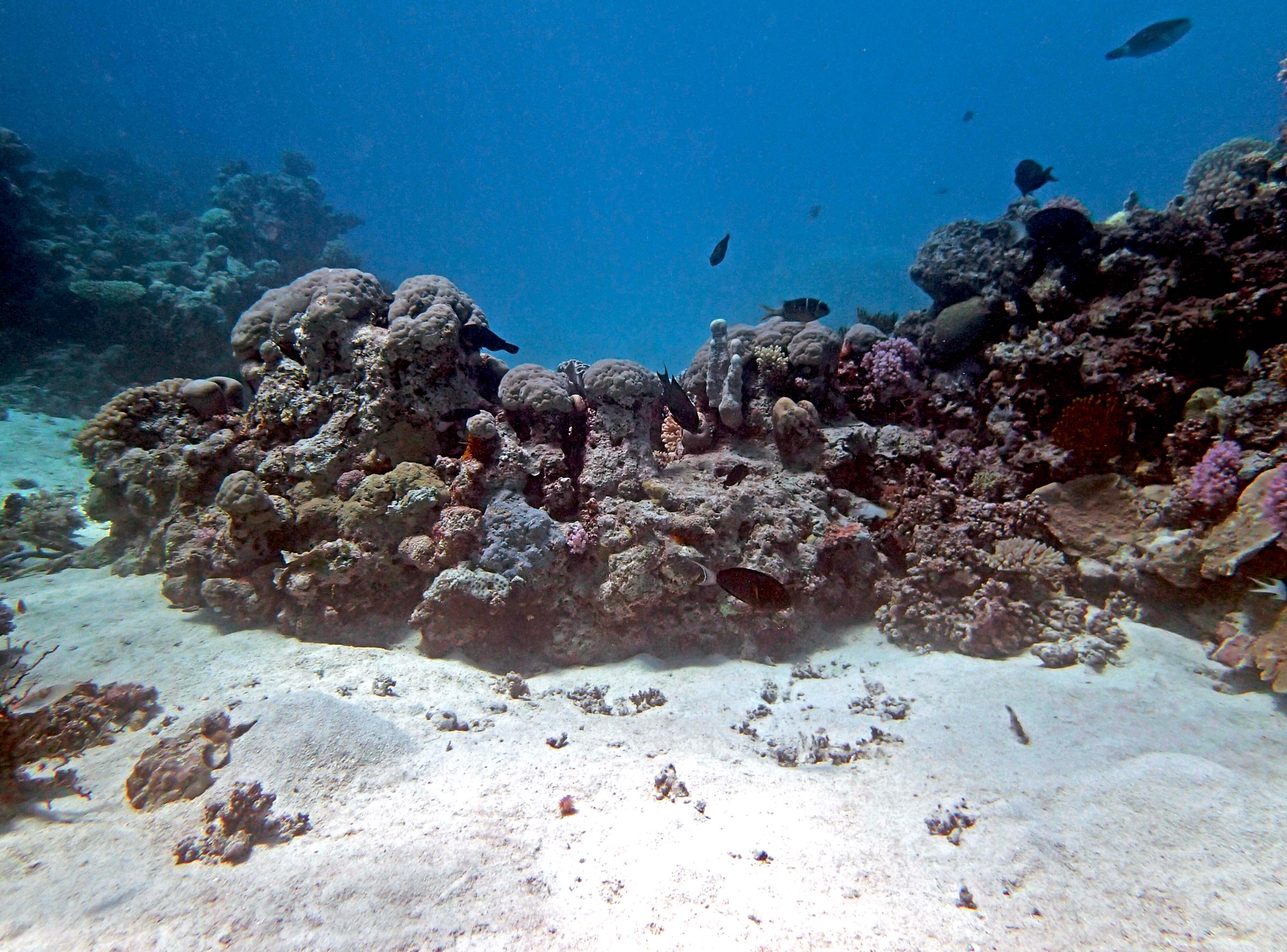 P9041205.png