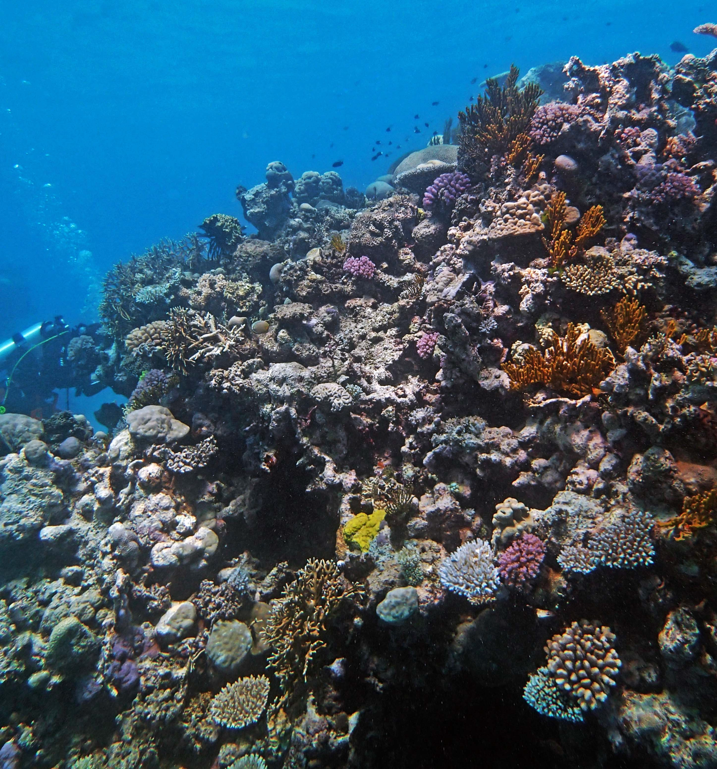 P9041207.png
