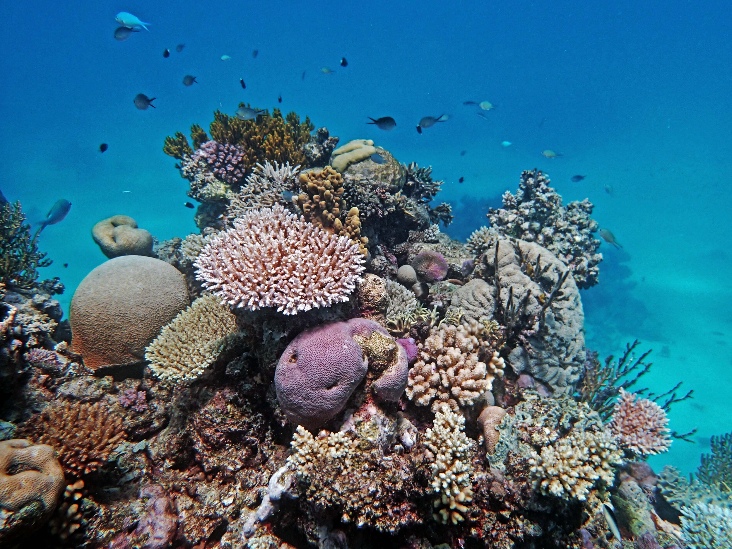 P9041210.png