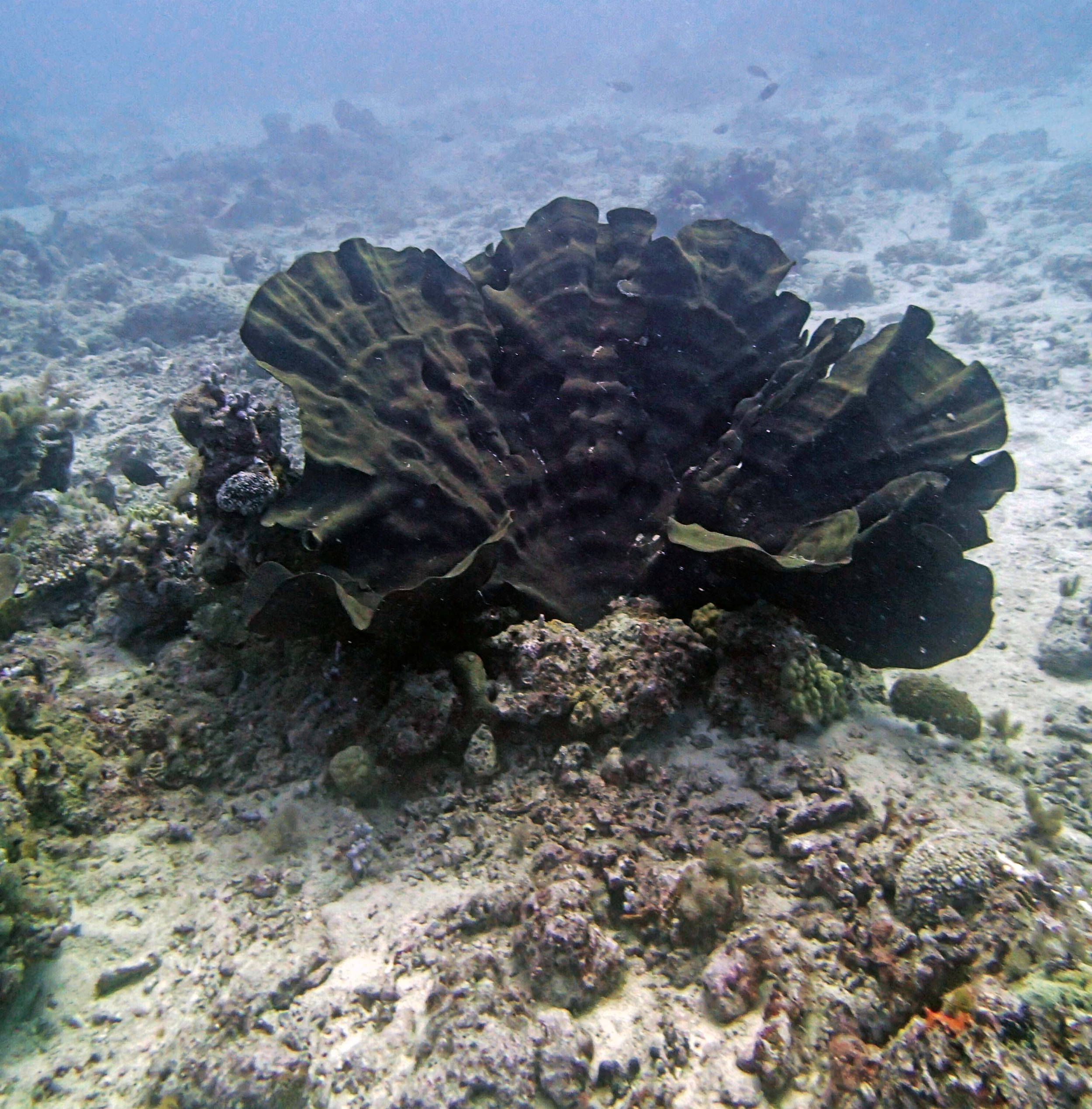 P9041212.png