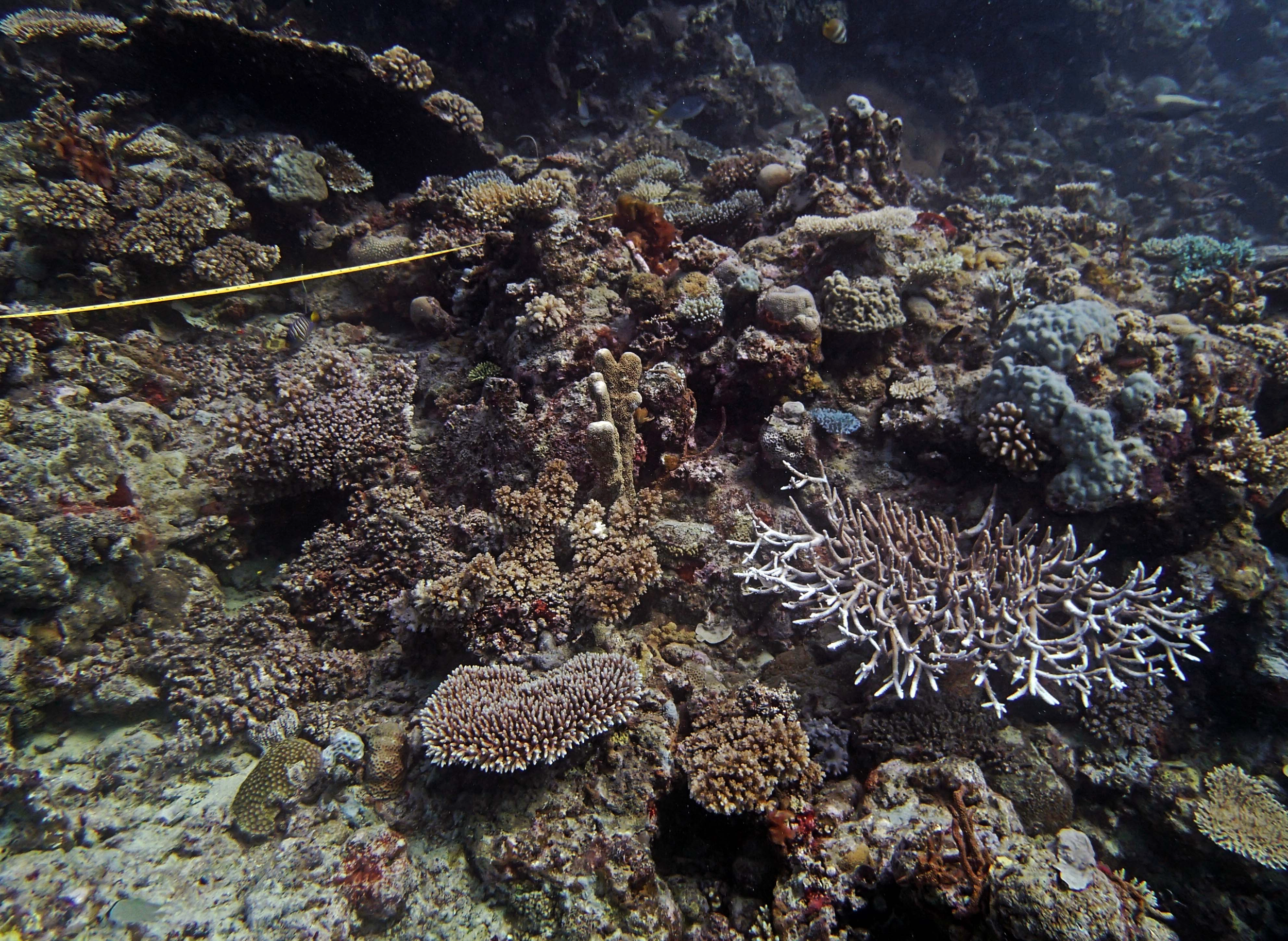 P9041224.png