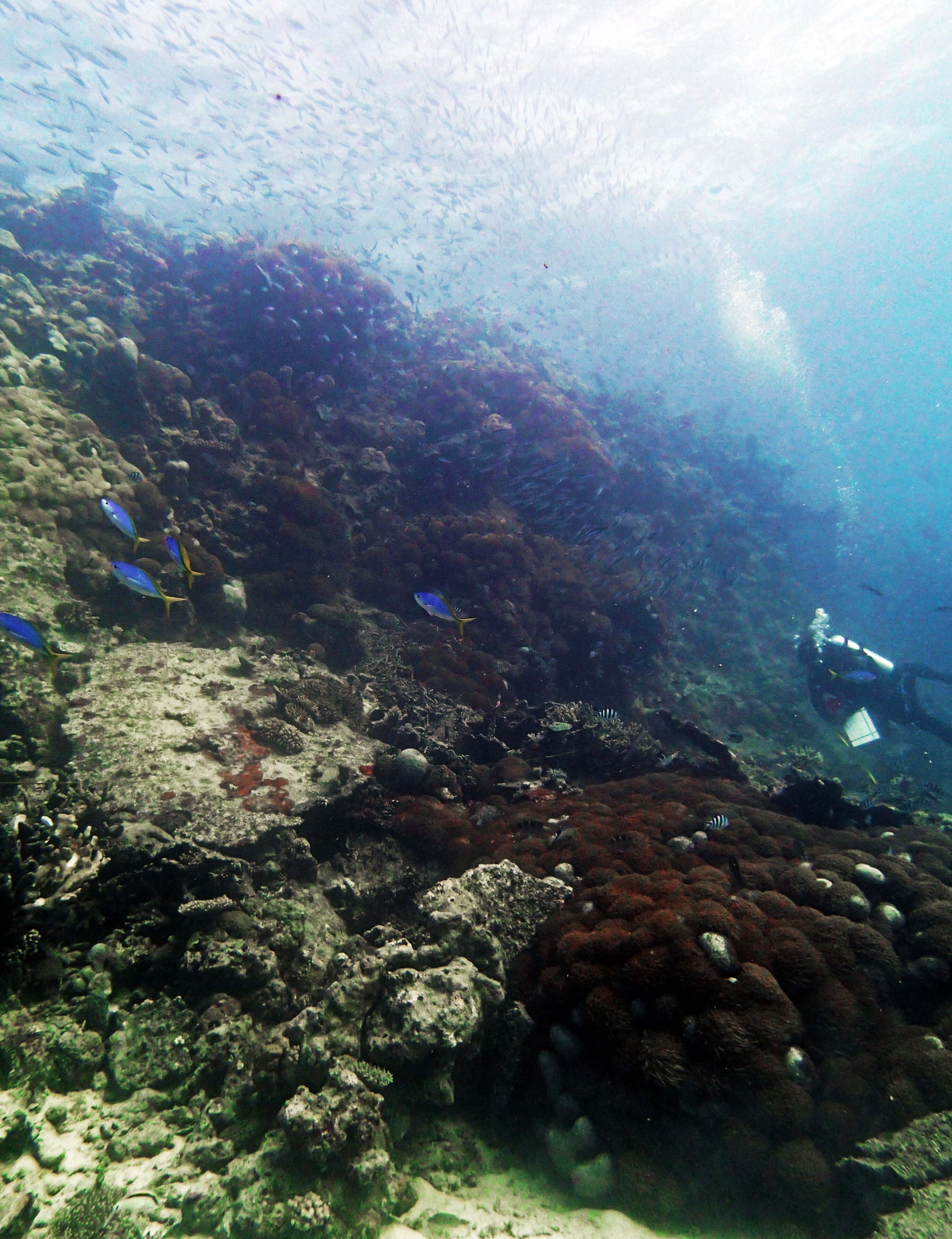 P9041226.png