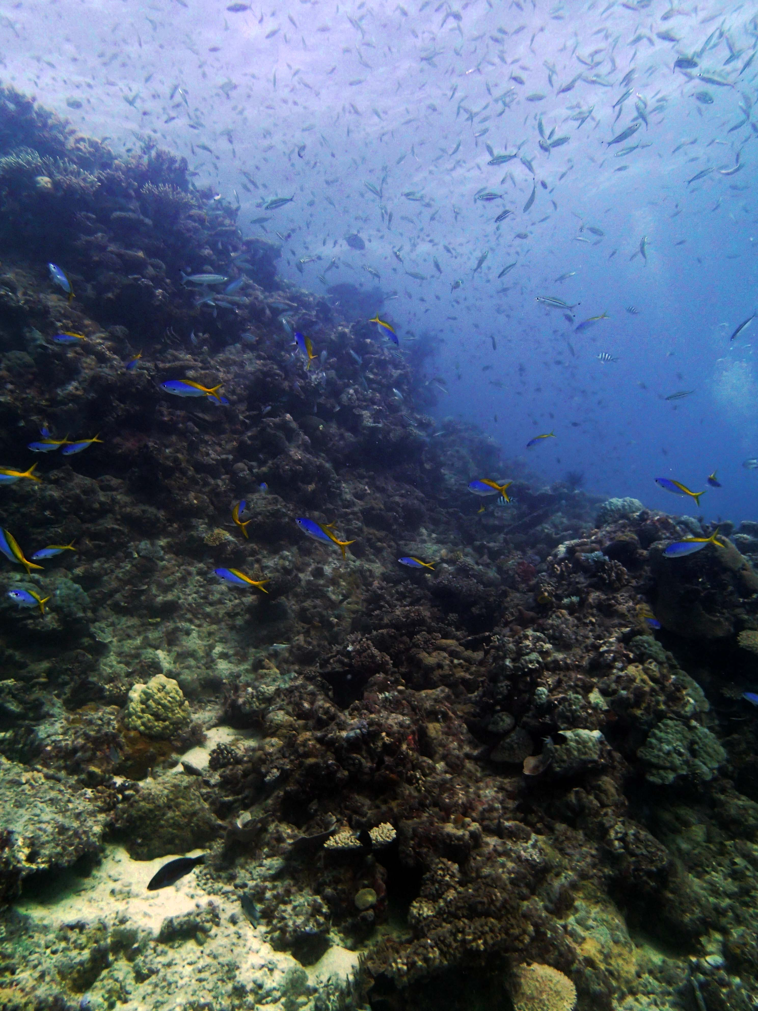 P9041241.png