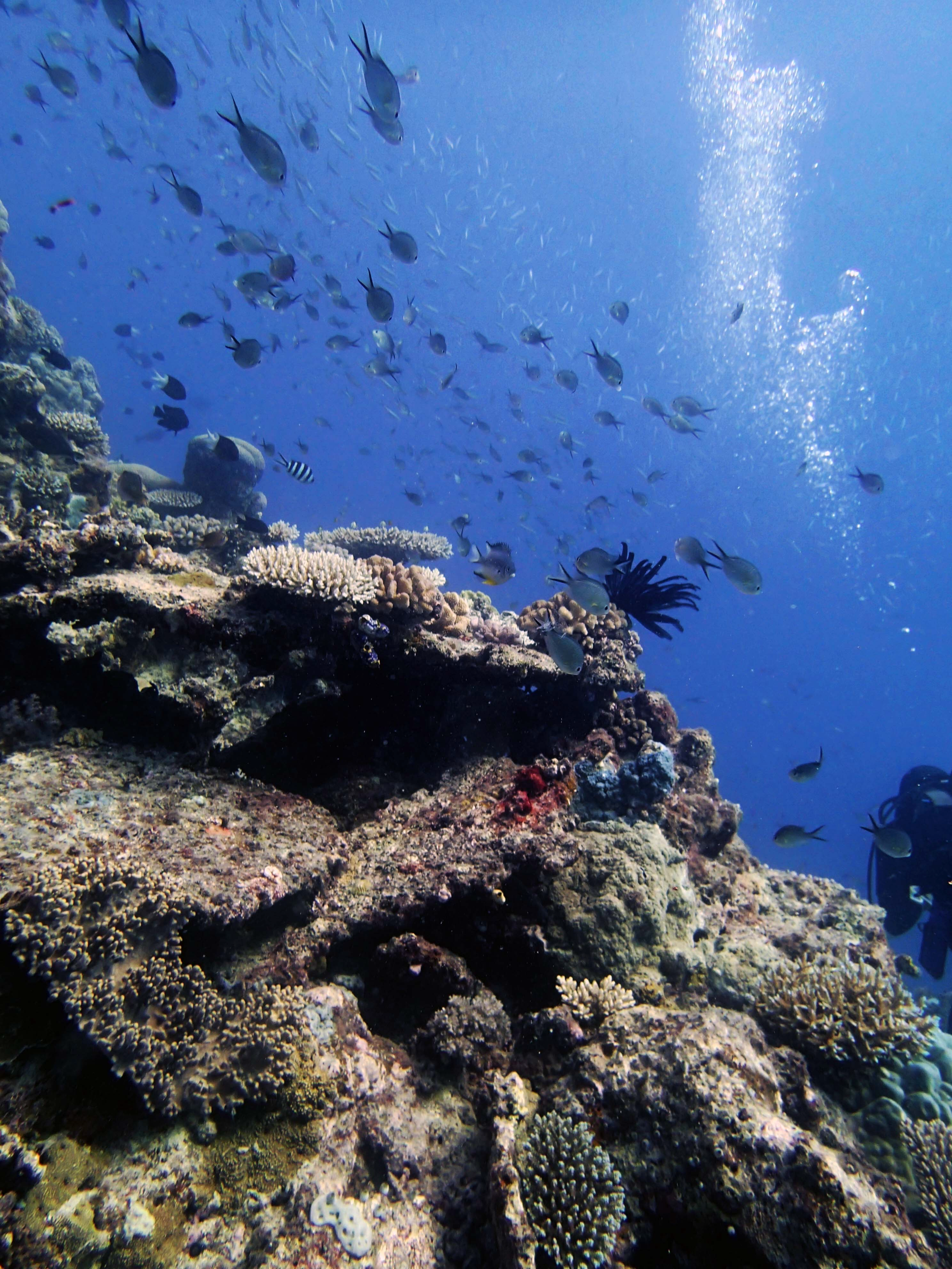 P9041244.png