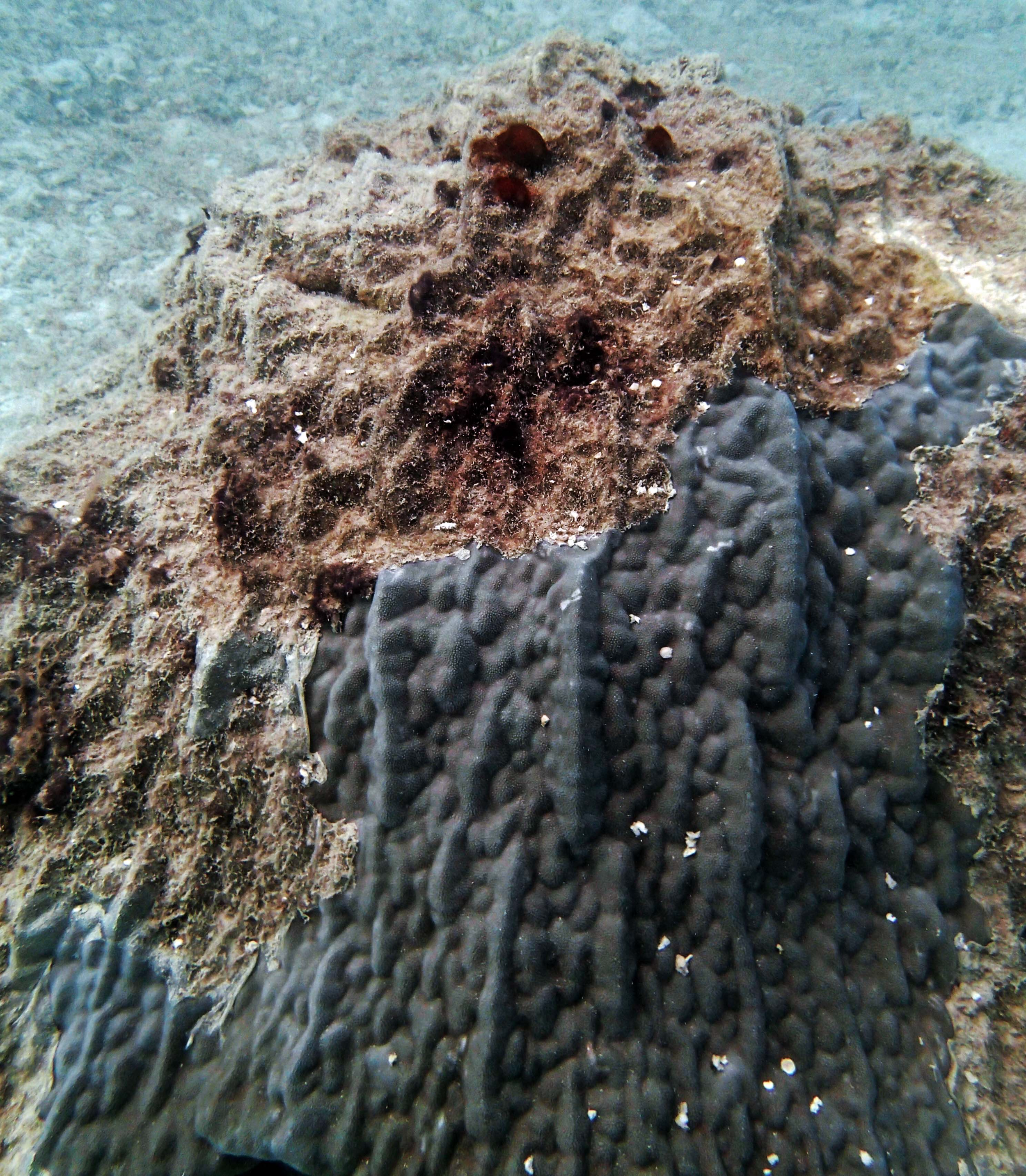 P9071097.png