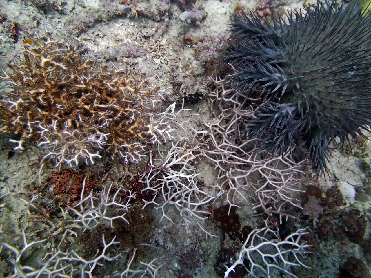 P9071135.png