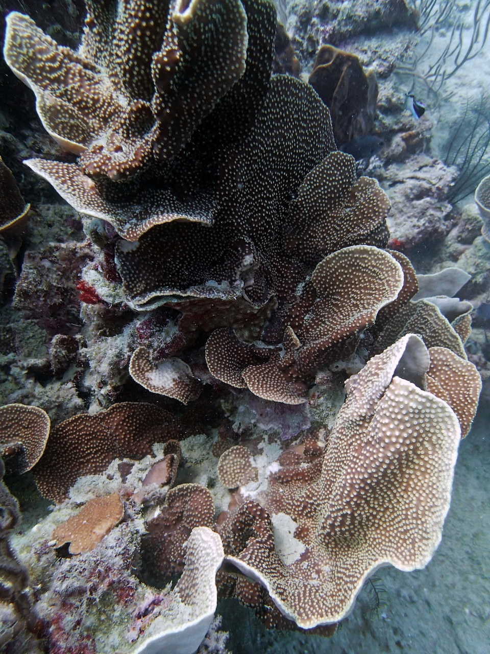P9071138.png