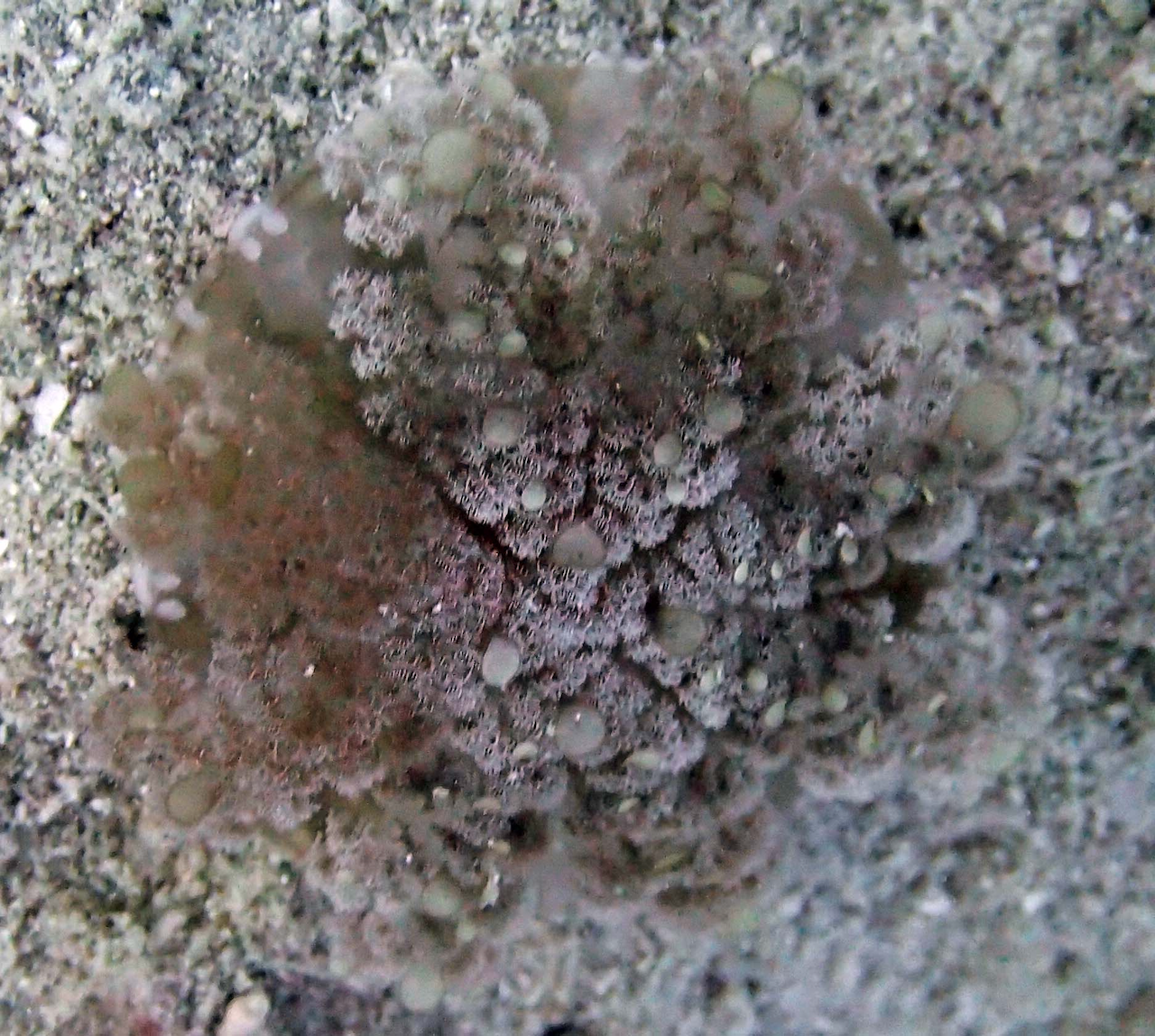 P9071140.png