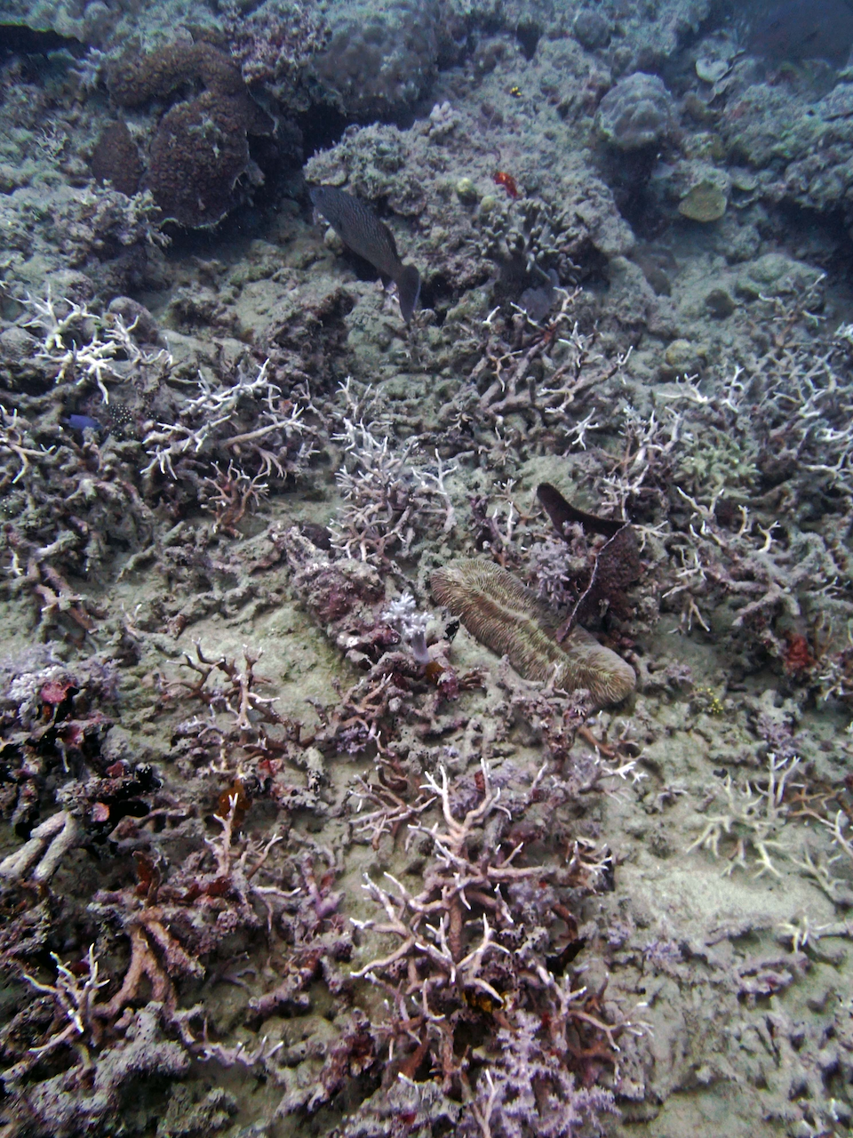P9071147.png