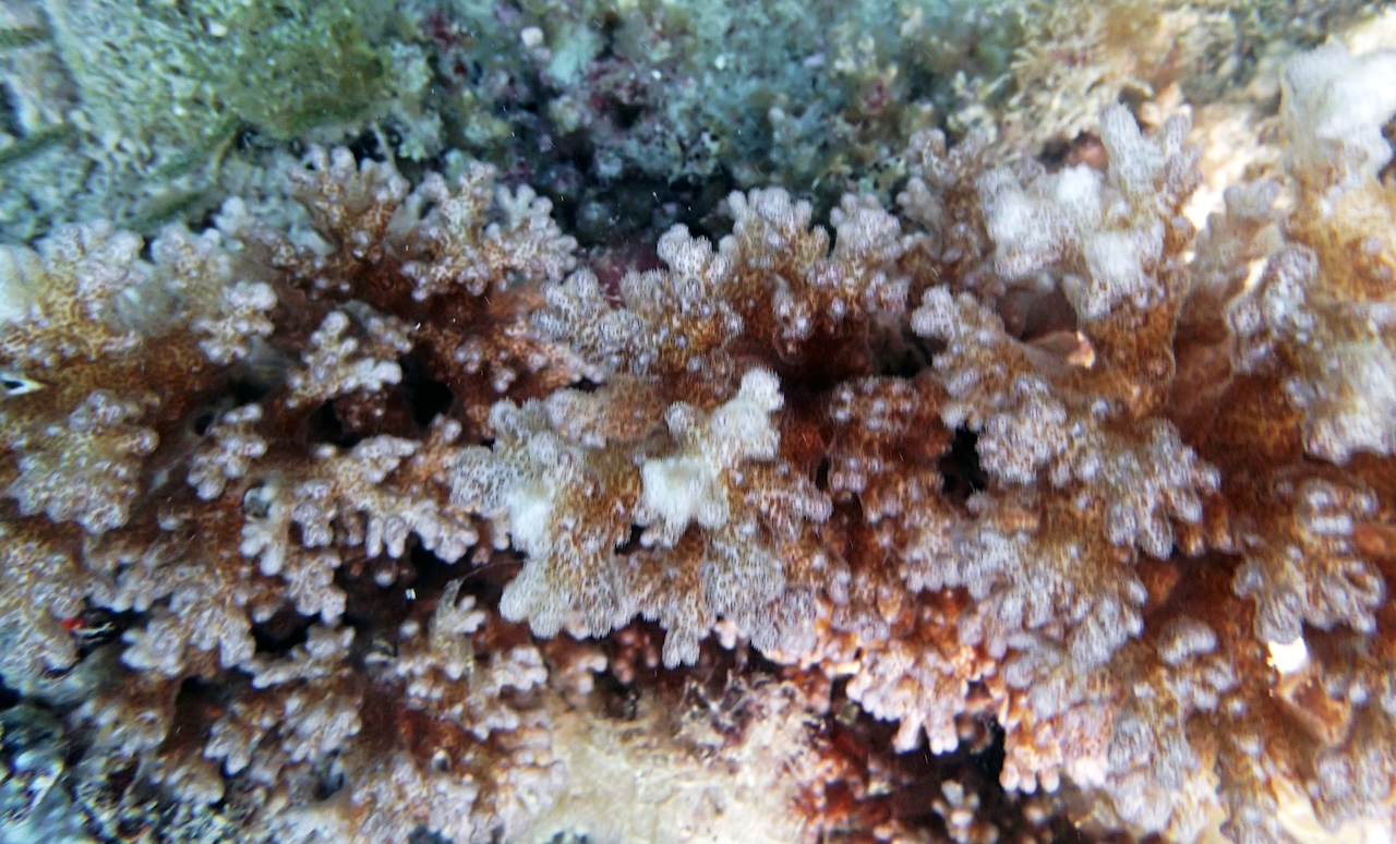 P9071161.png