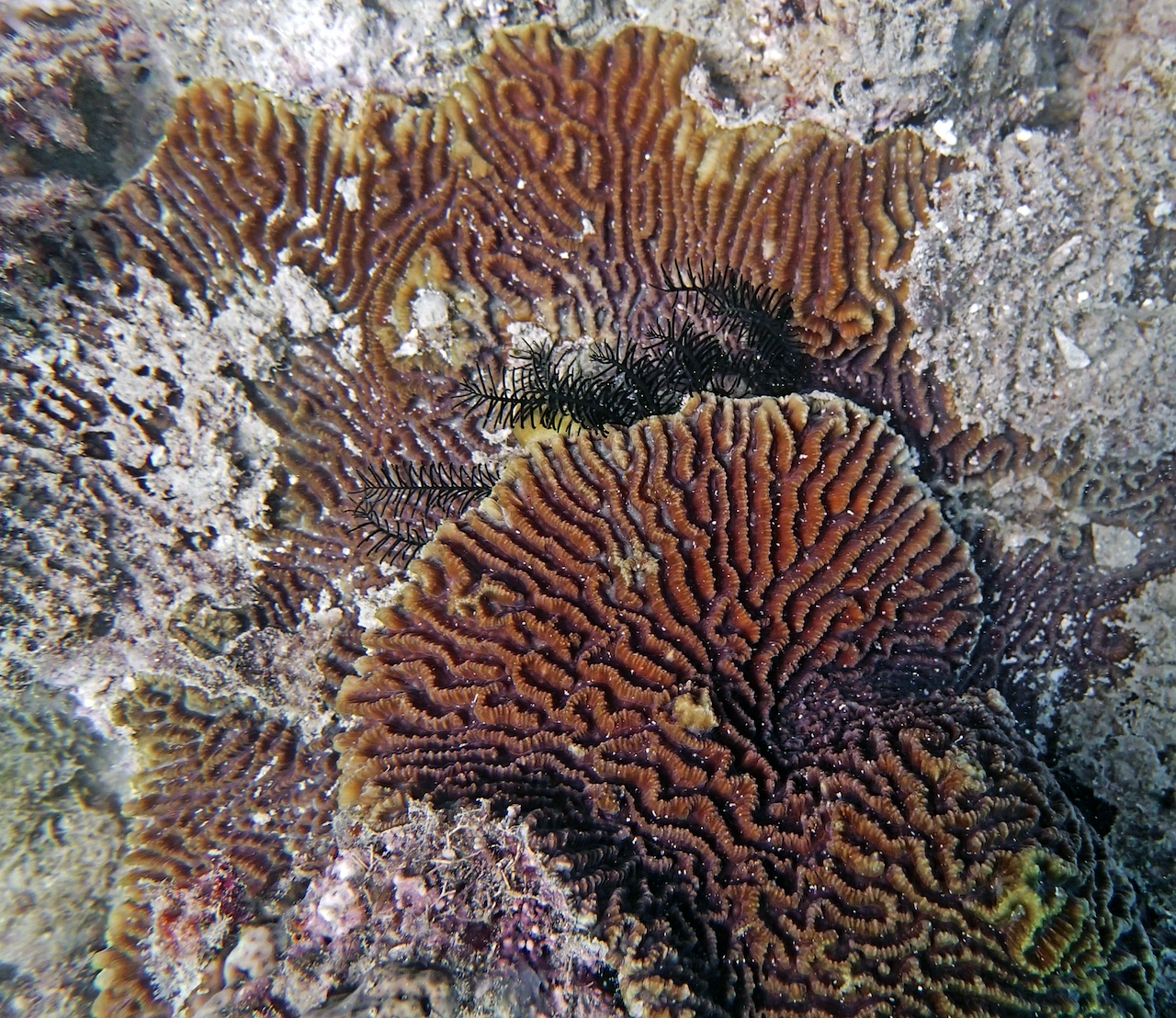 P9071167.png