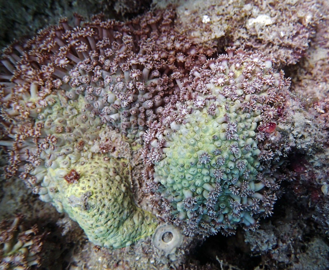 P9071173.png