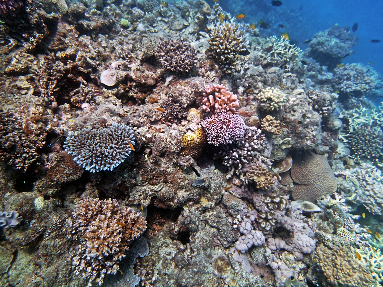 P9071176.png
