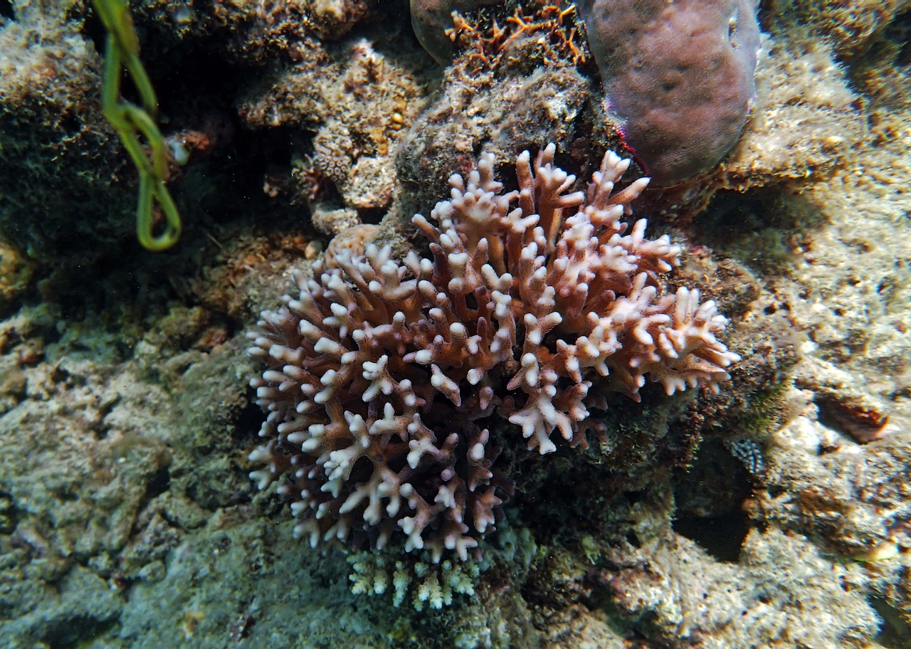 P9071180.png