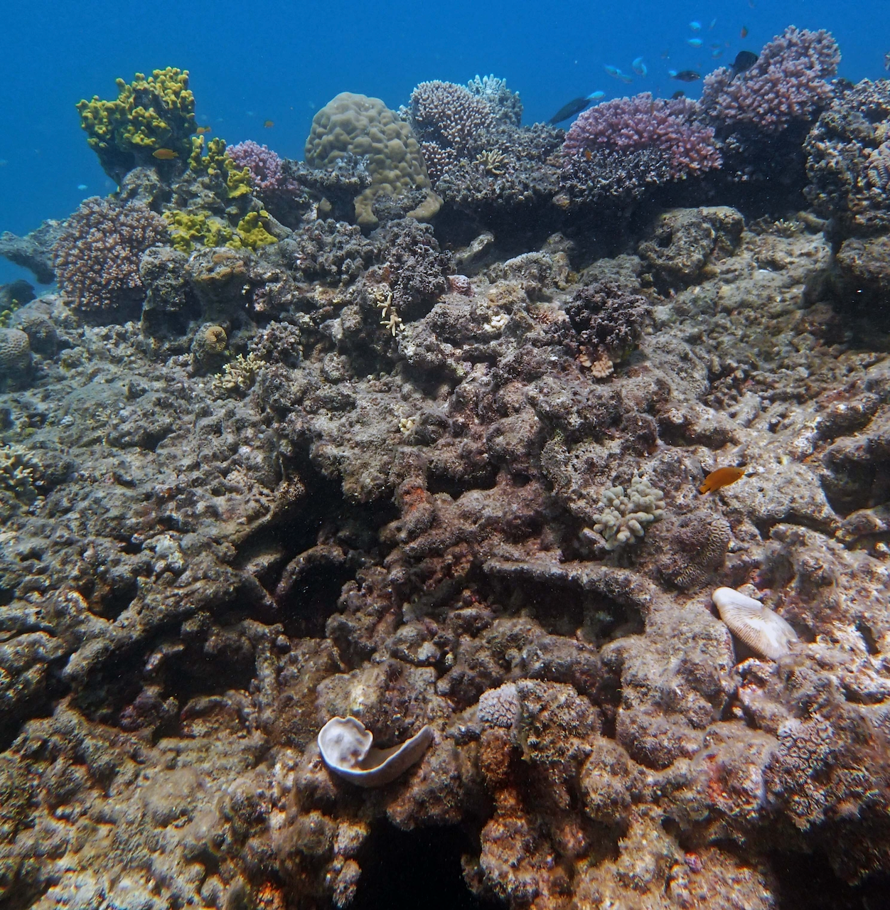 P9071181.png