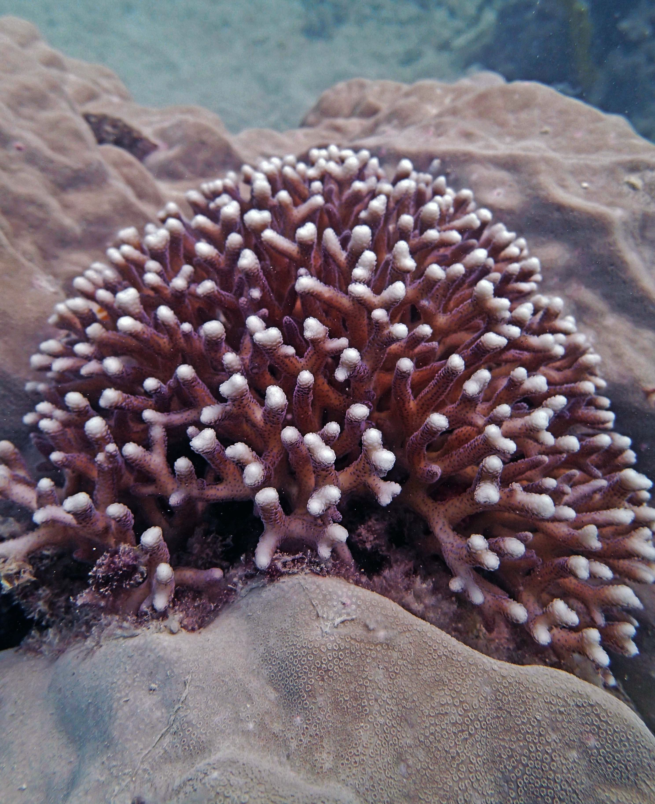 P9071122.png