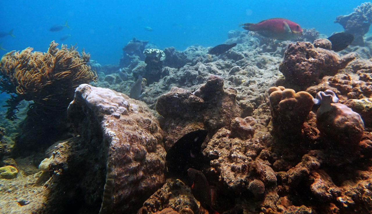 P9071184.png