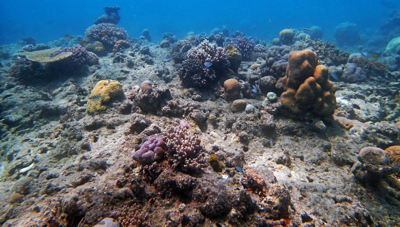 P9071186.png
