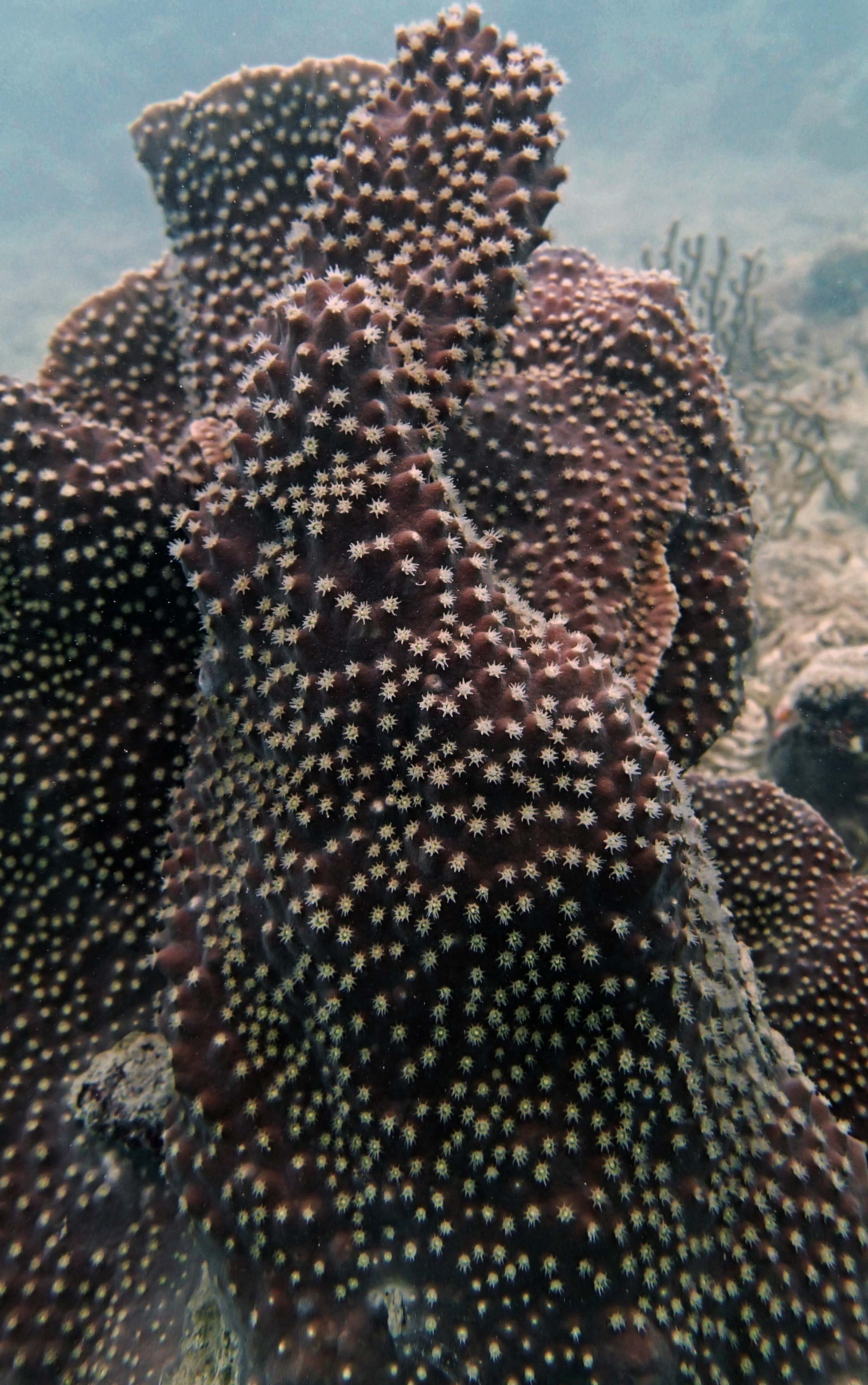 P9081148.png